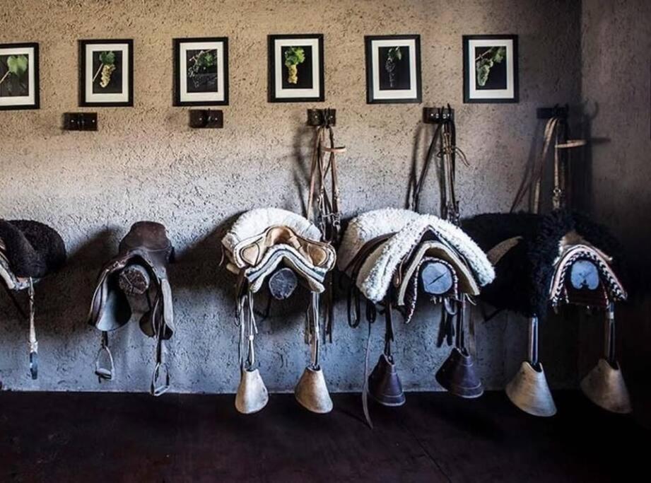 La Carrera Villas, Atamisque. Tupungato, Mendoza.