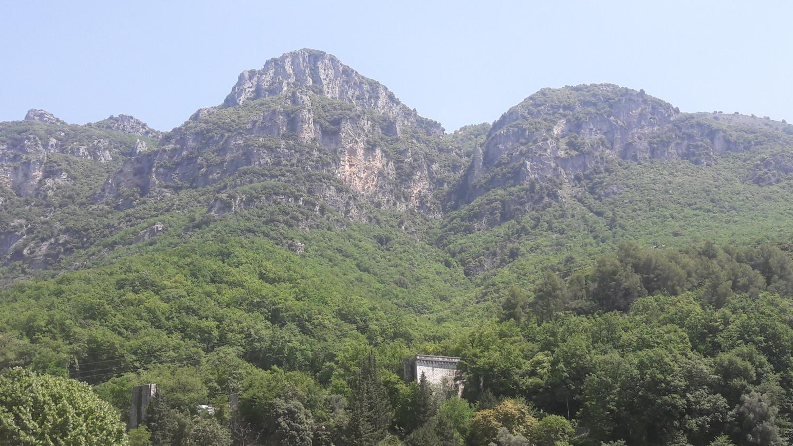 La cigale view 5