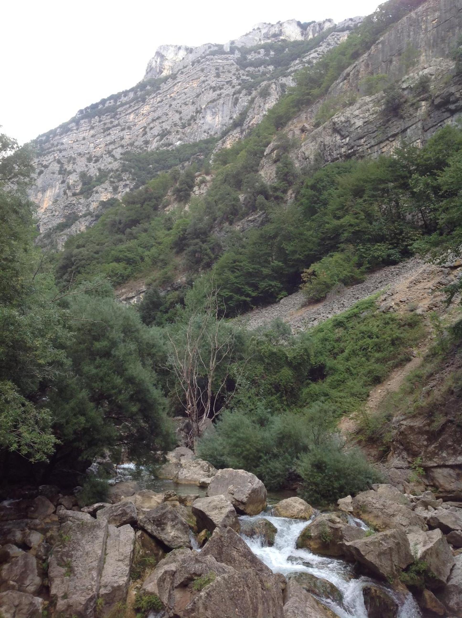 Photo 22