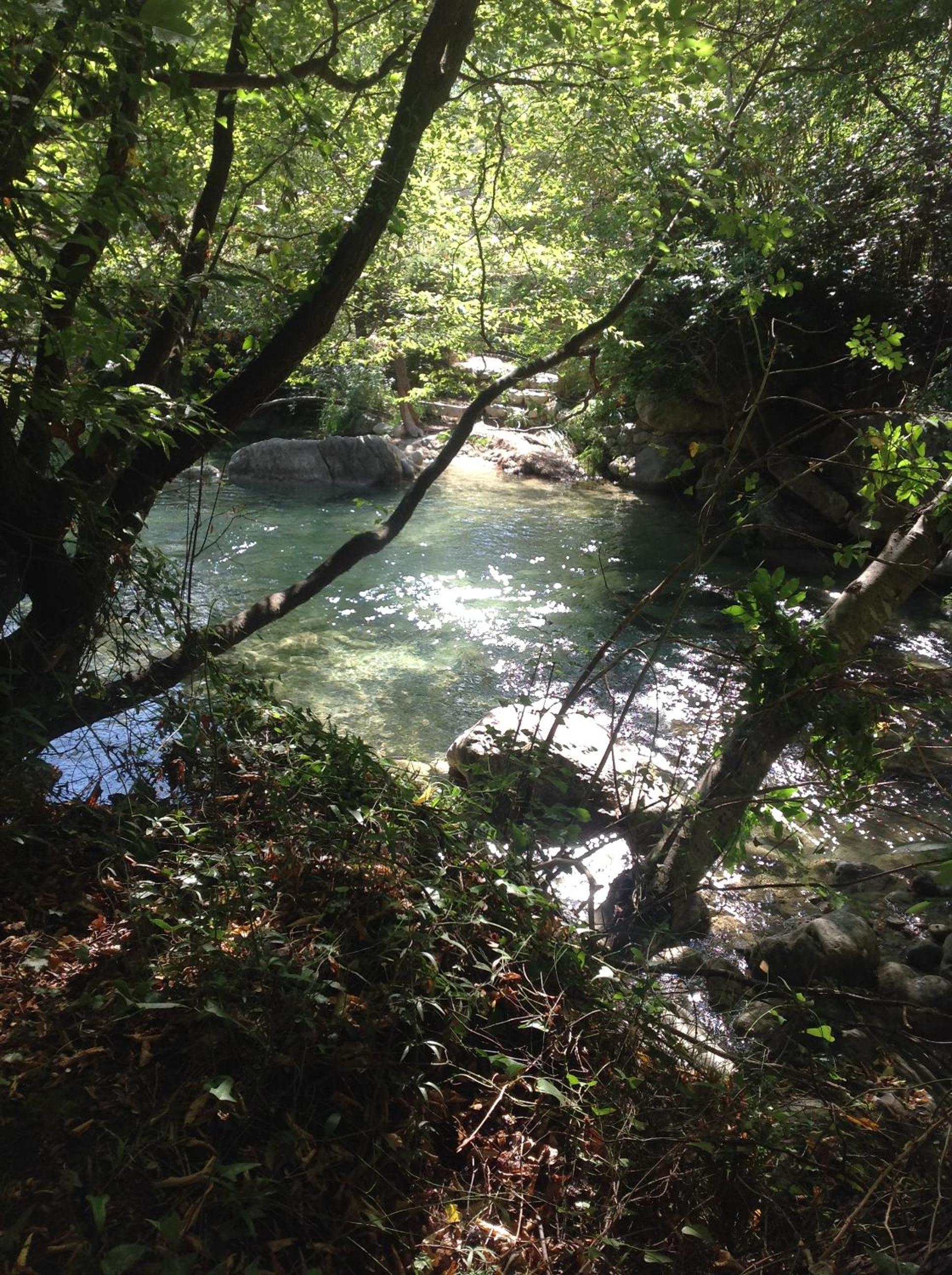 Photo 20
