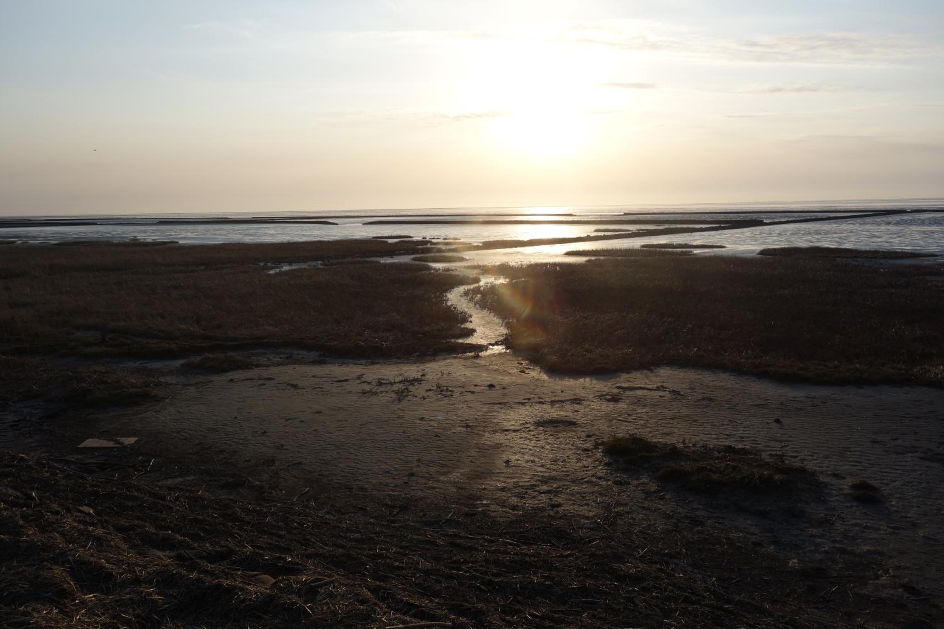 Ferienkate Norddeich