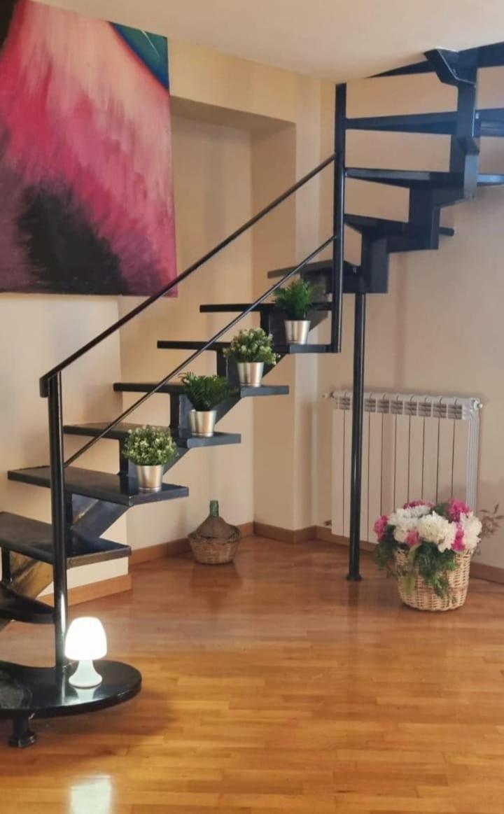 LEONARDO Apartment