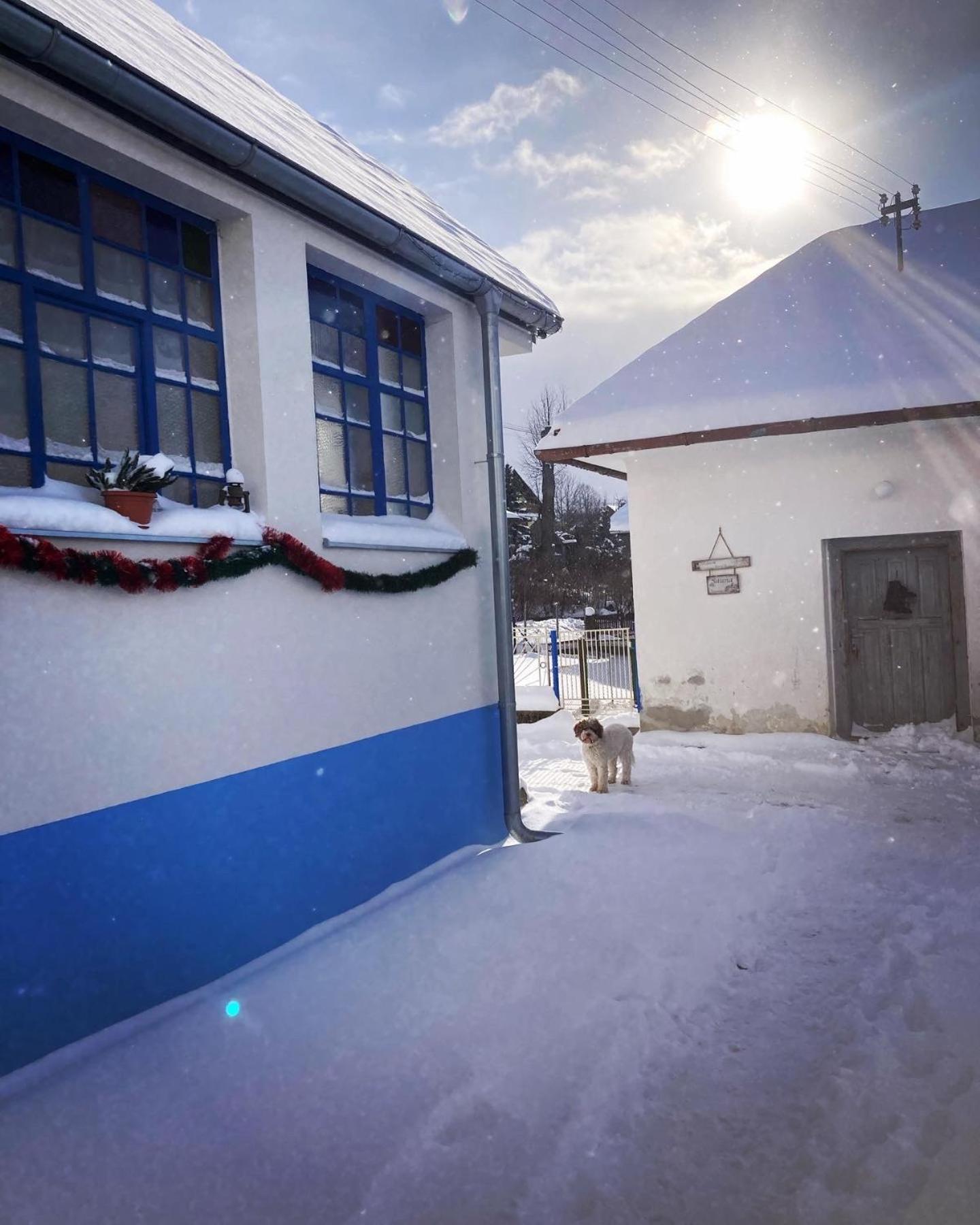 Photo 42