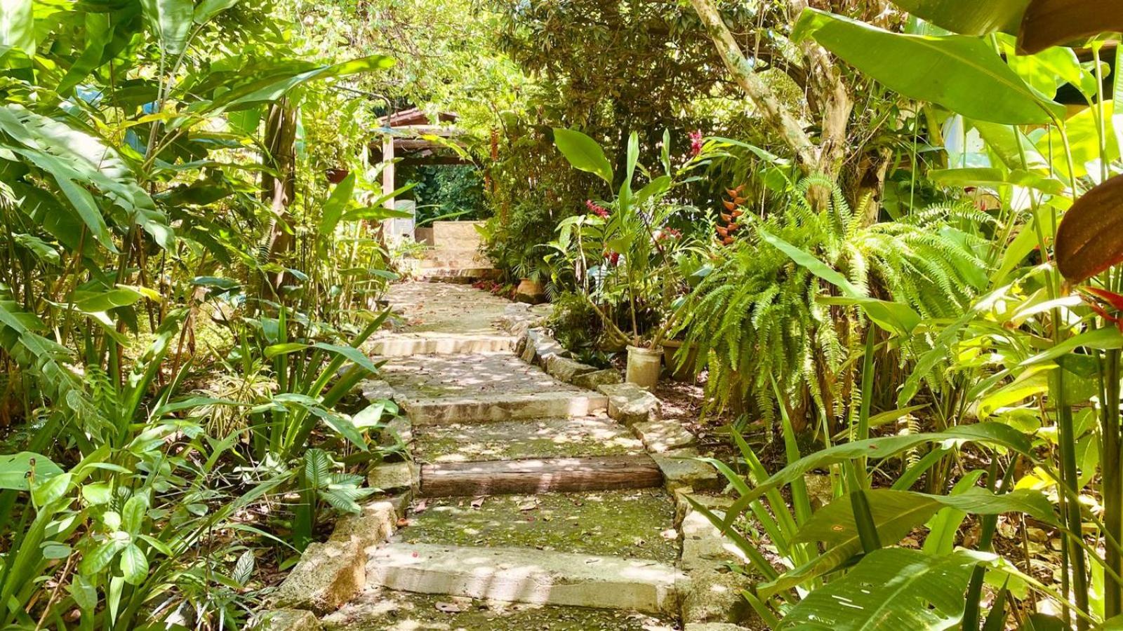 Casa de praia despojada