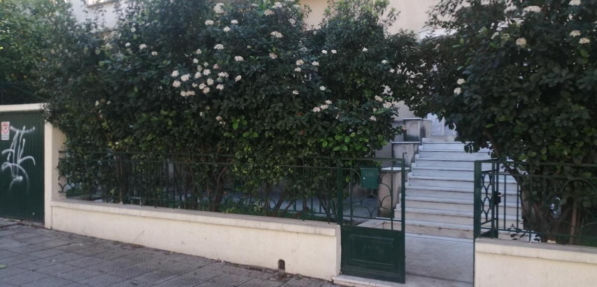 The Athenian House - Duxiana Bed