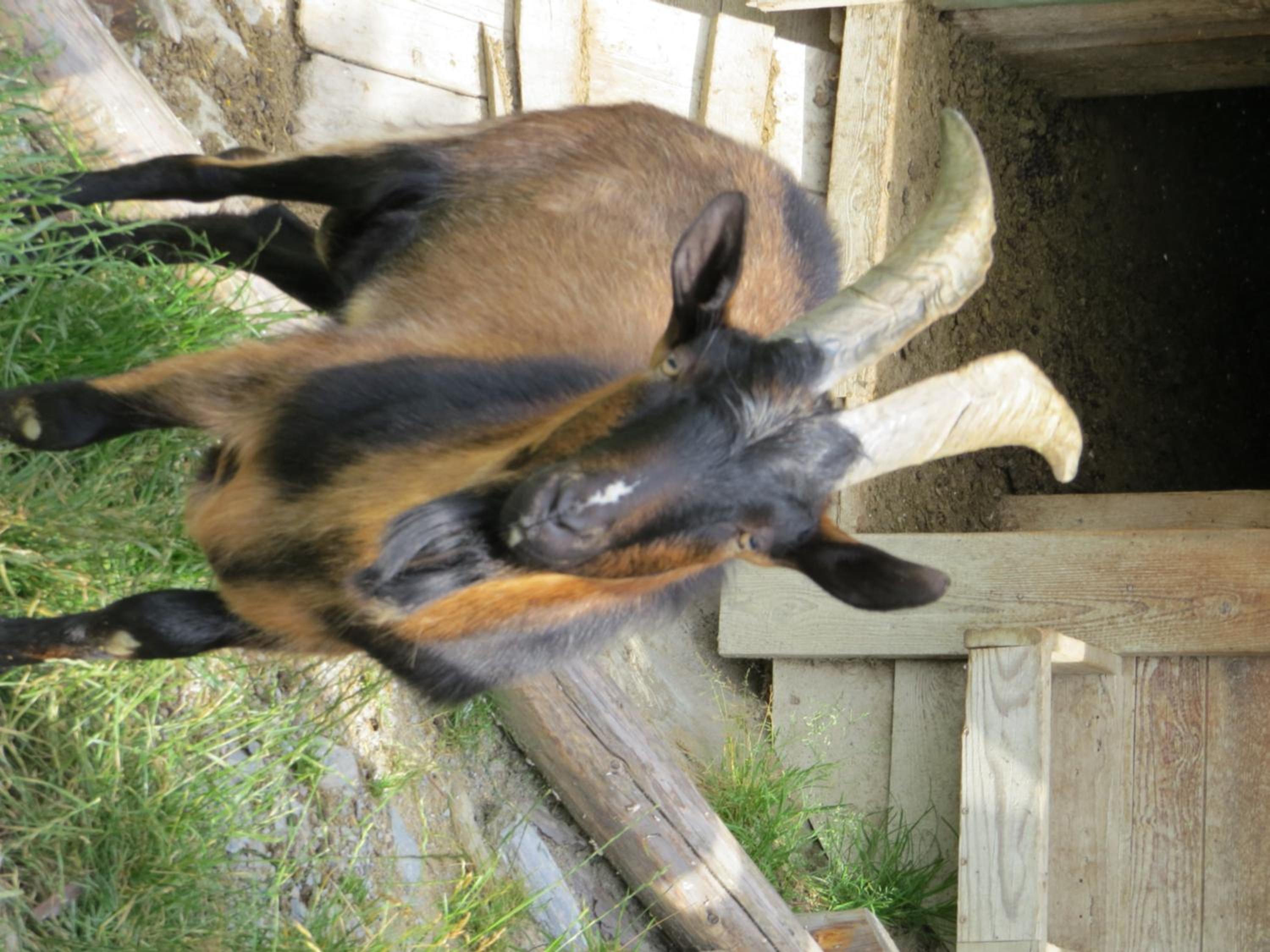 Photo 47