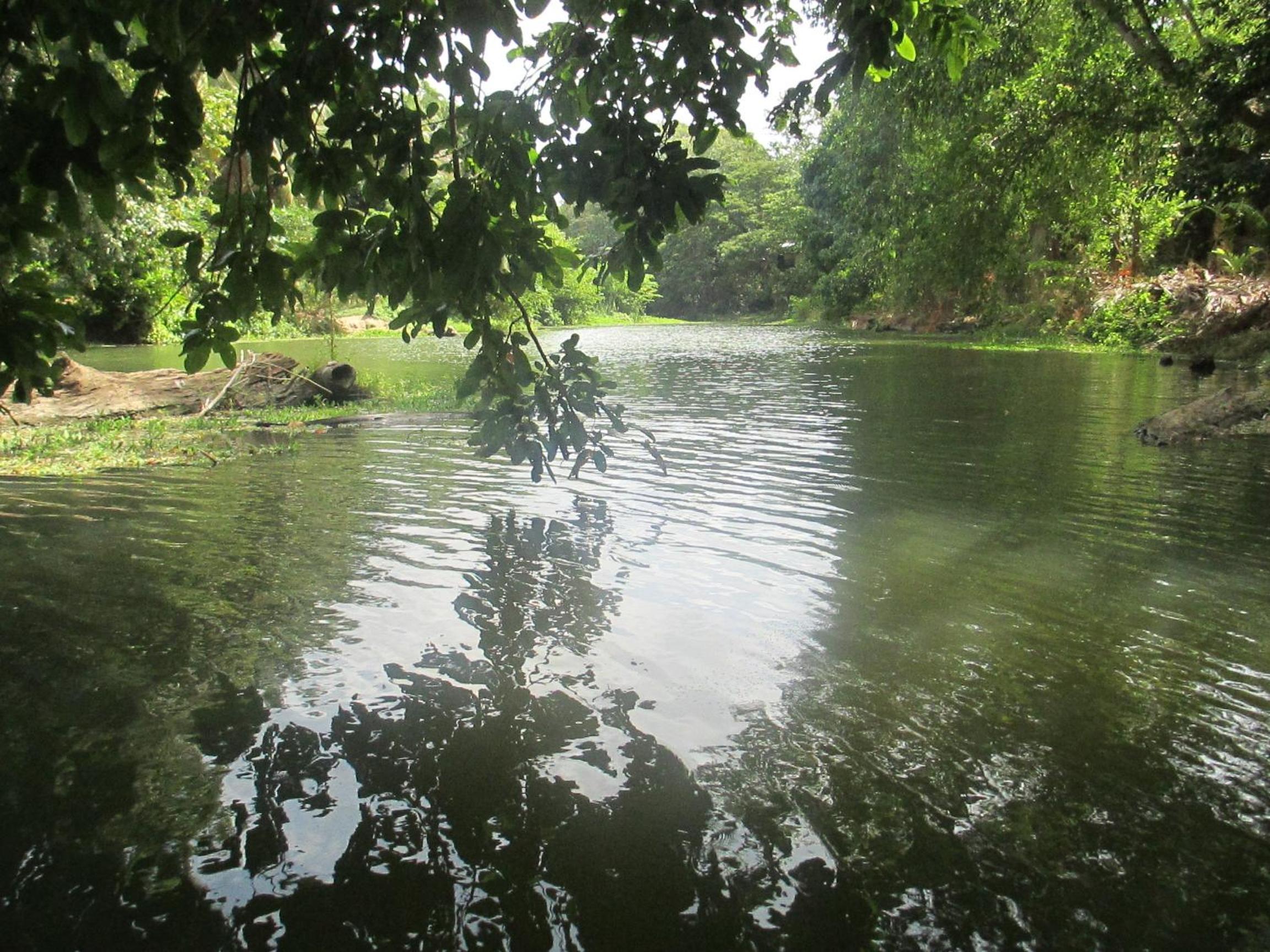 Yala River Face Inn