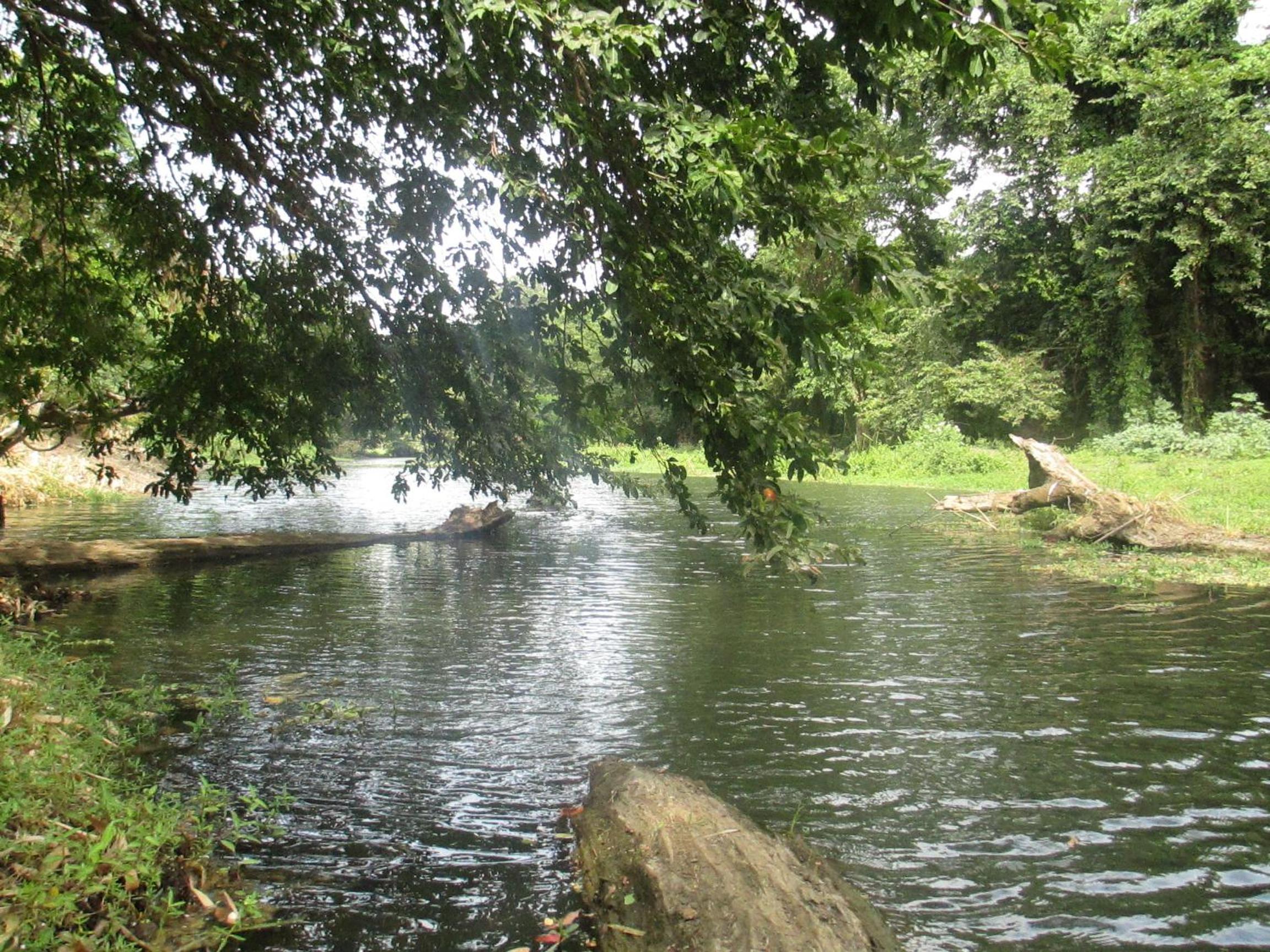 Yala River Face Inn