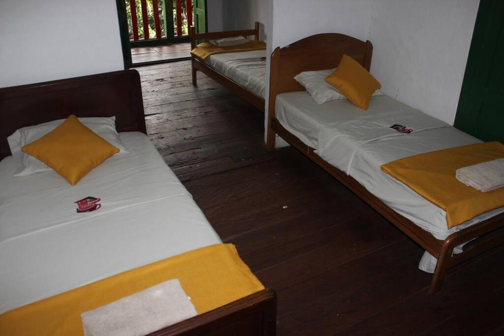 Hacienda Ceylán - Hacienda Cafetera