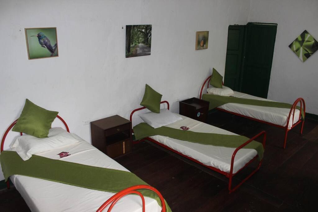 Hacienda Ceylán - Hacienda Cafetera