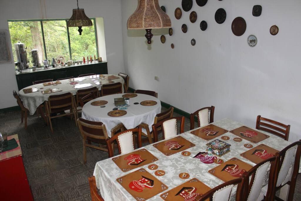 Hacienda Ceylán - Hacienda Cafetera