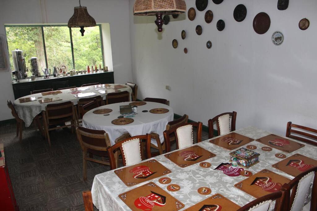Hacienda Ceylán - Hacienda Cafetera