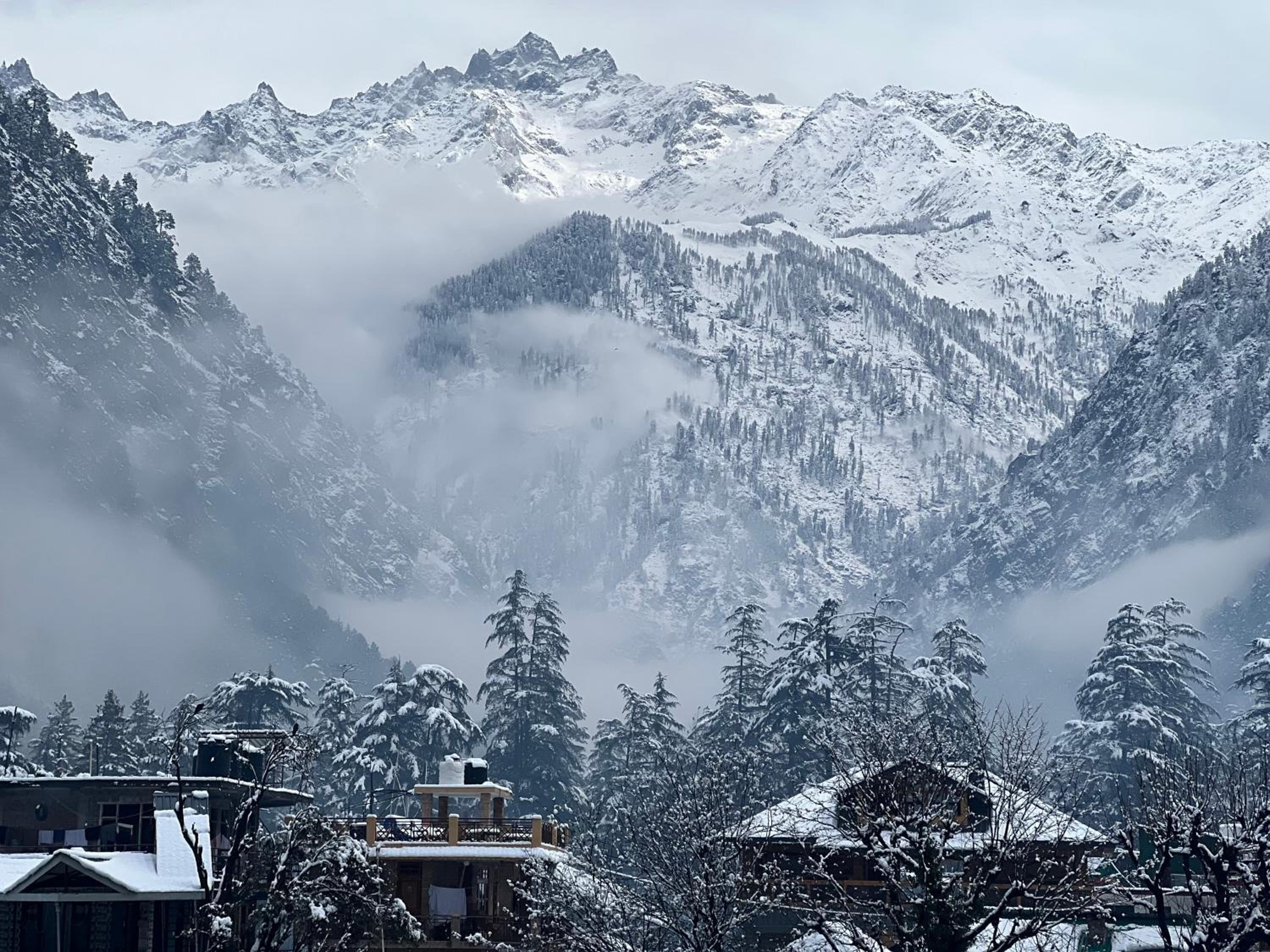 Blue star homestay kasol view 4
