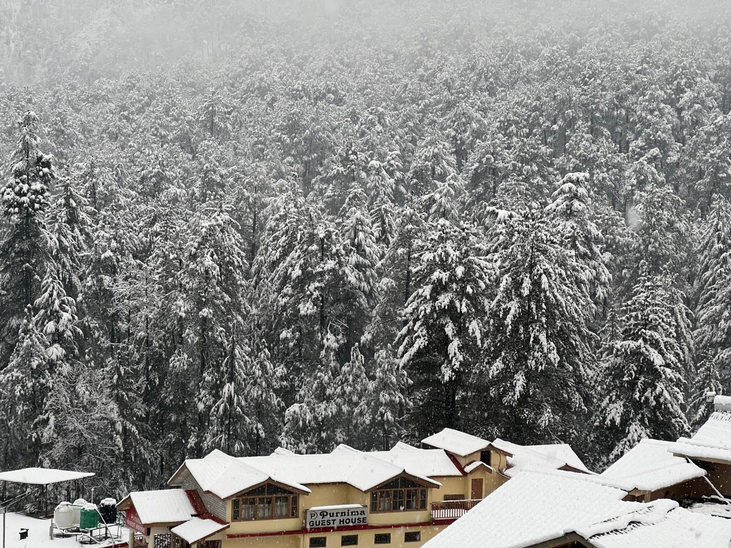 Blue star homestay kasol view 3