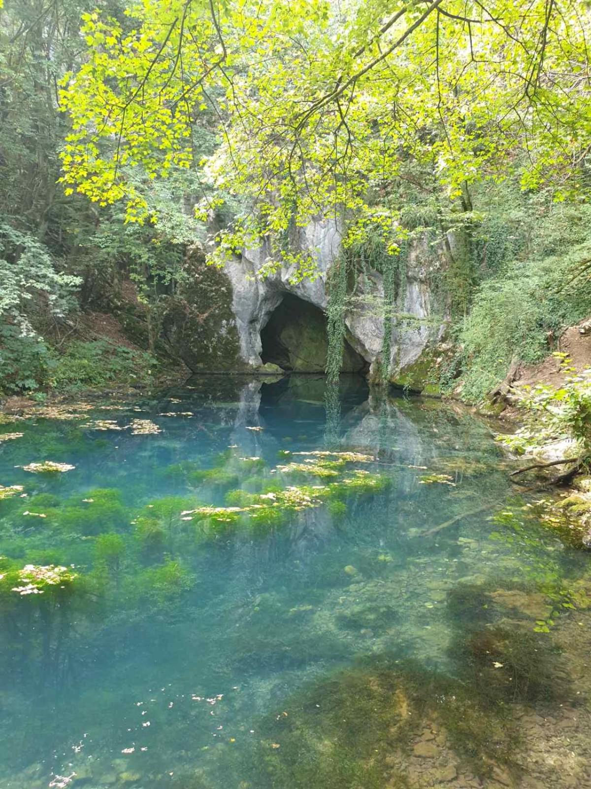 Vila Vera Borsko Jezero view 5