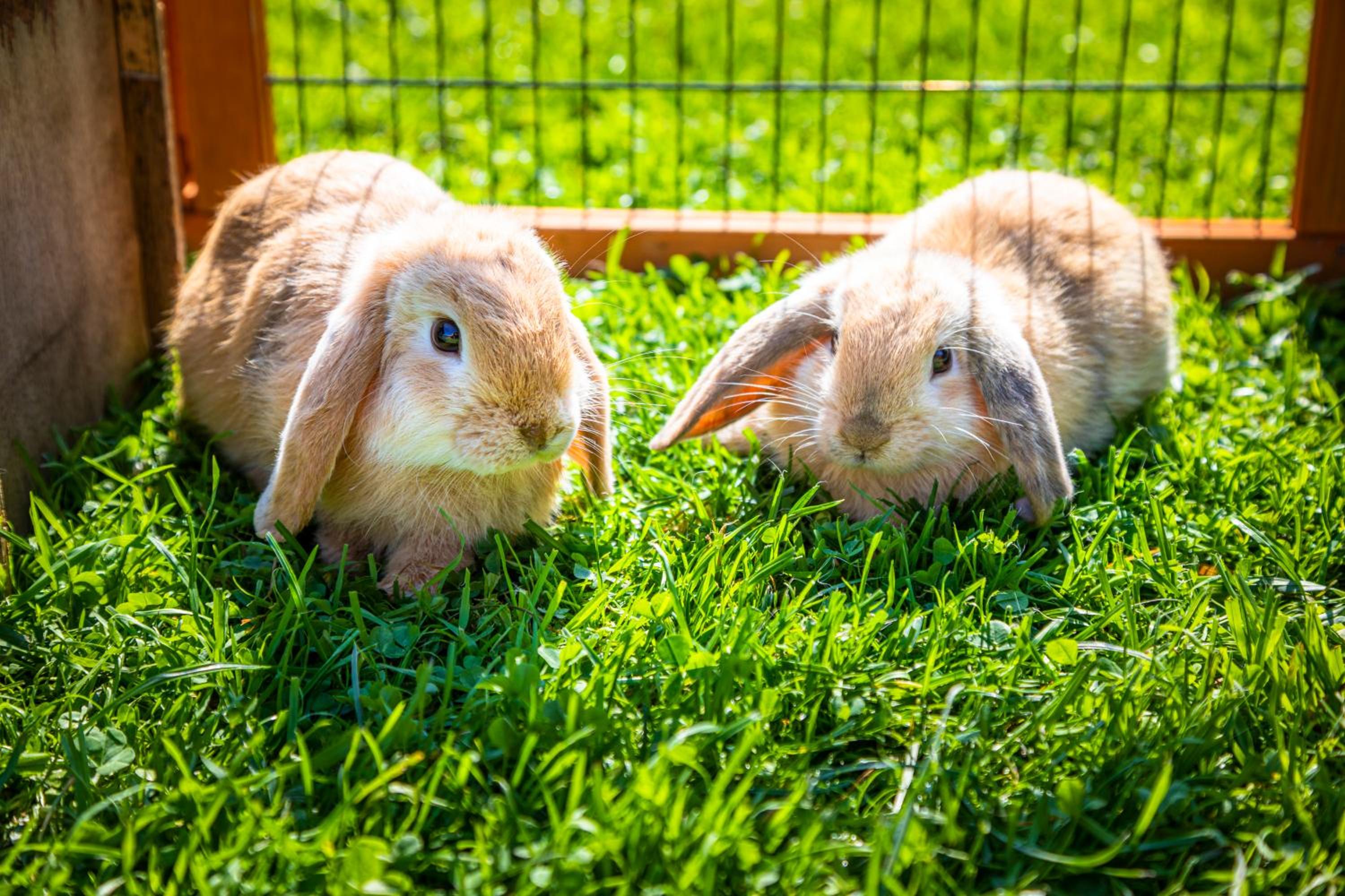 Bio Bauernhof Schweizerhof