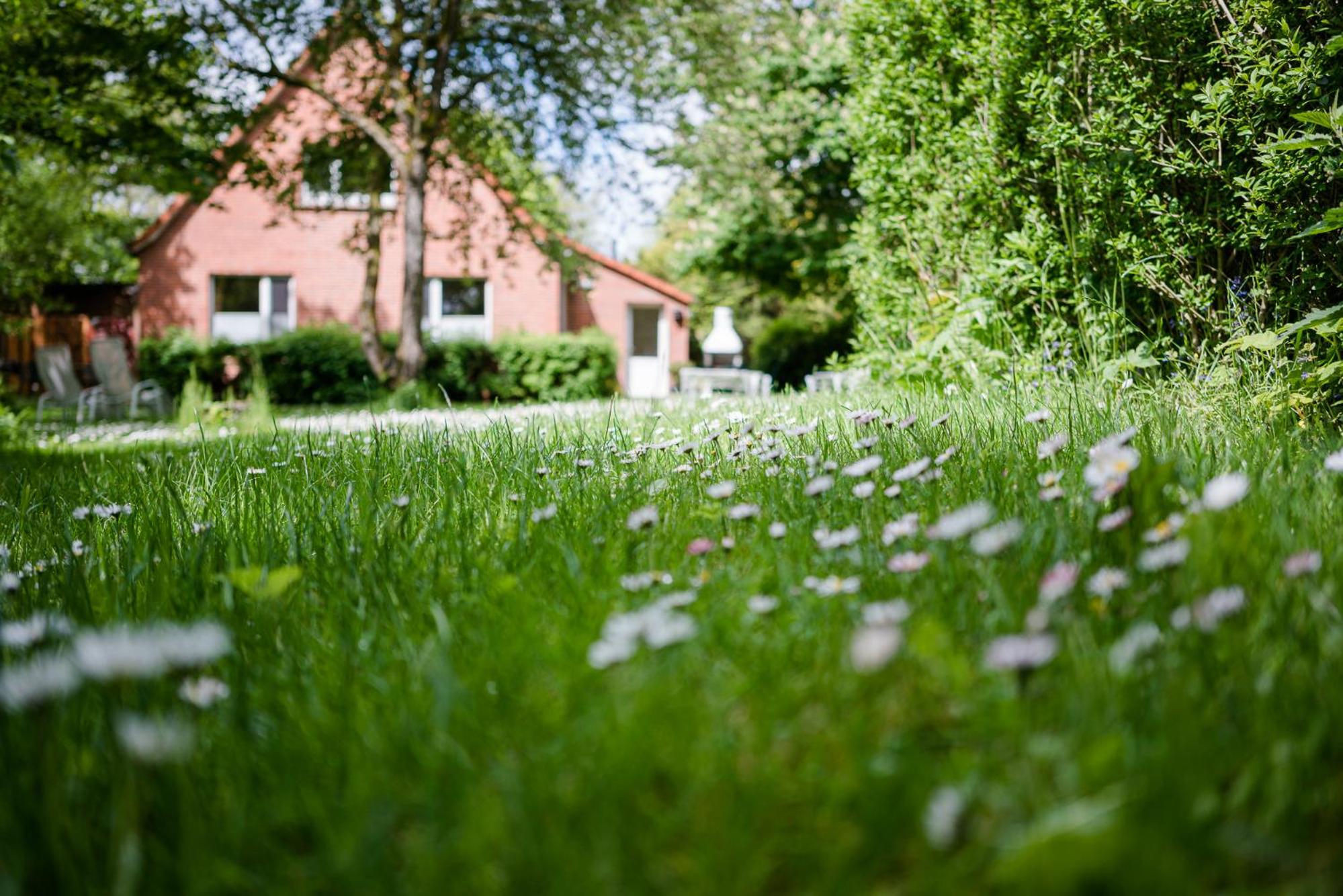 Fährhauslodges Natur in Sicht view 2