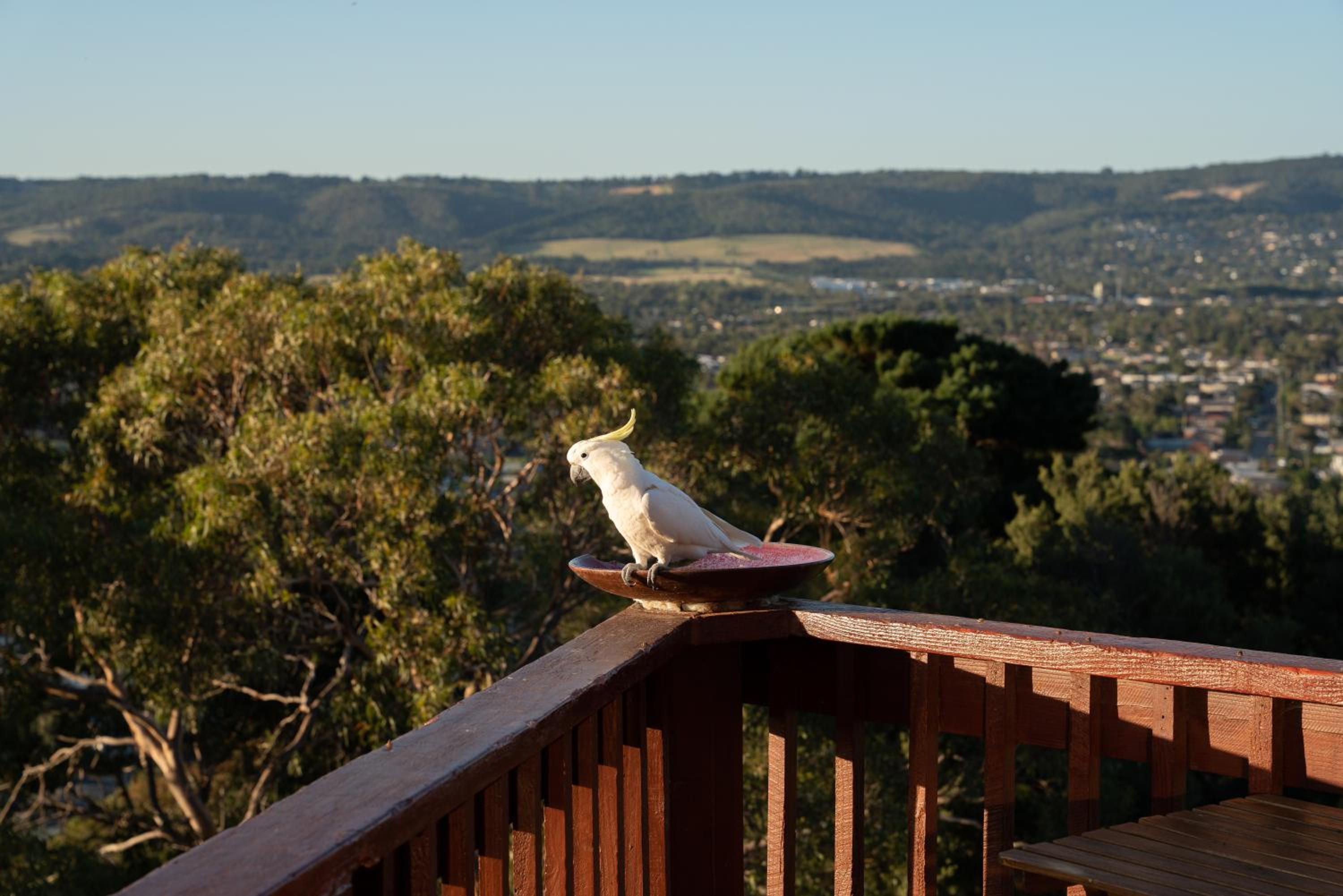 Kinoie Mornington - OCEANVIEW view 4