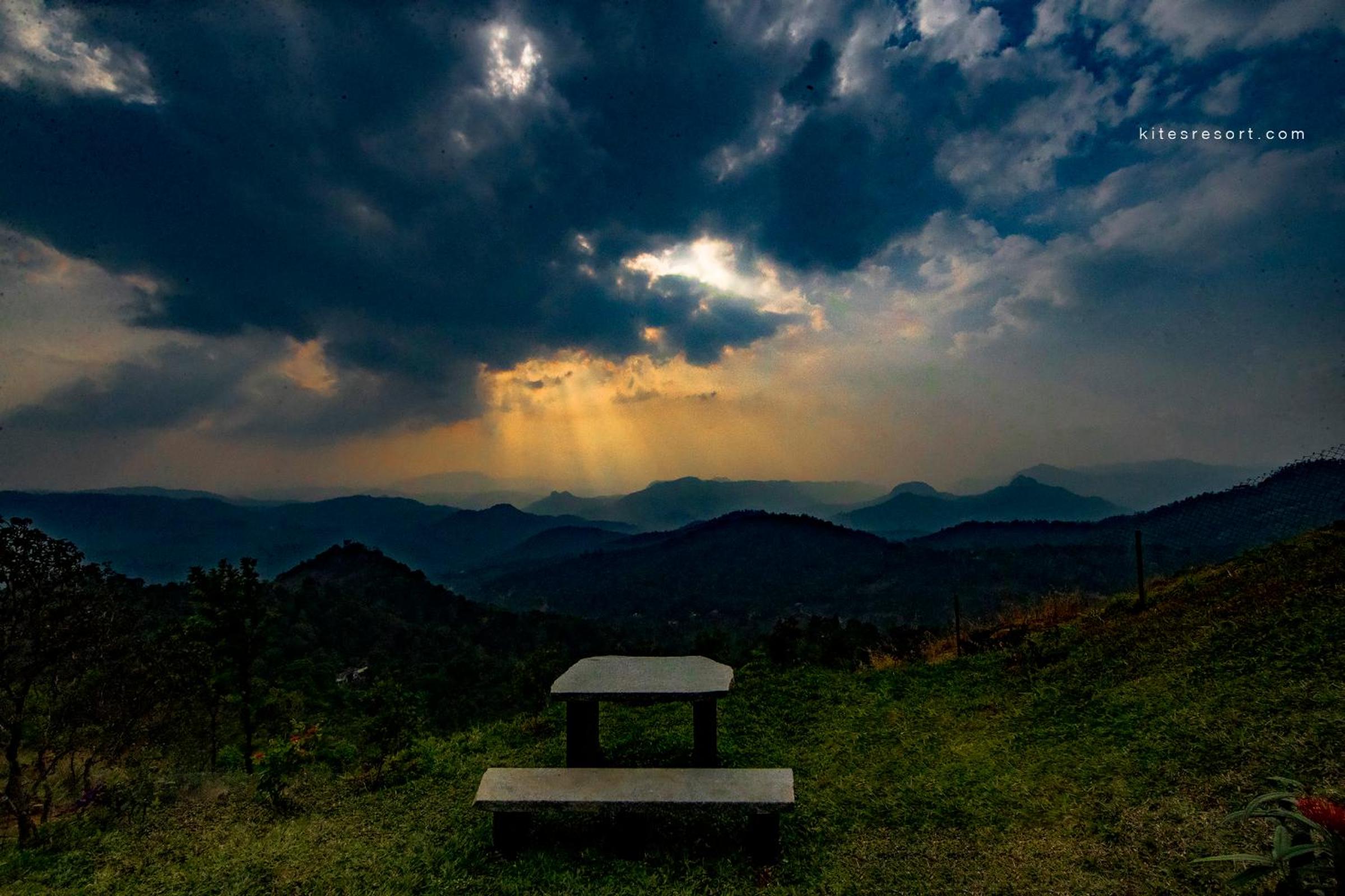 Munnar Vacations - Haze and Kites Resort Munnar - Property Image 70