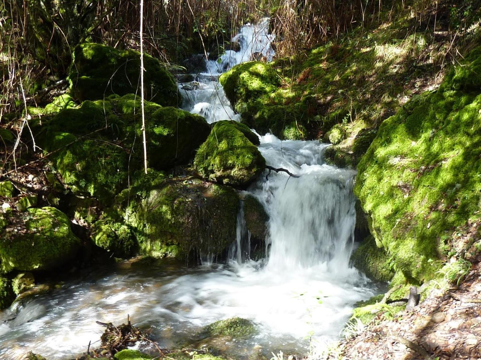 Photo 48