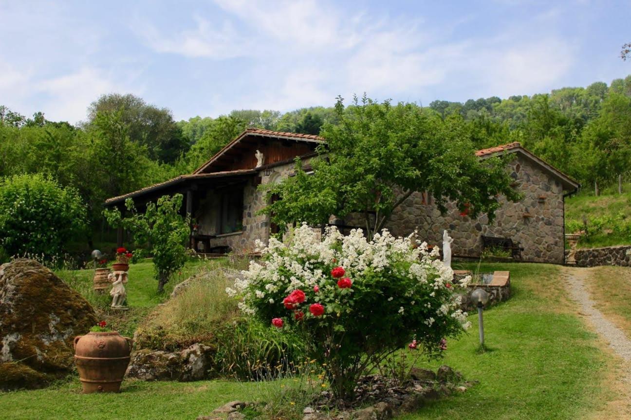 Podere Mezzavia by VacaVilla view 4