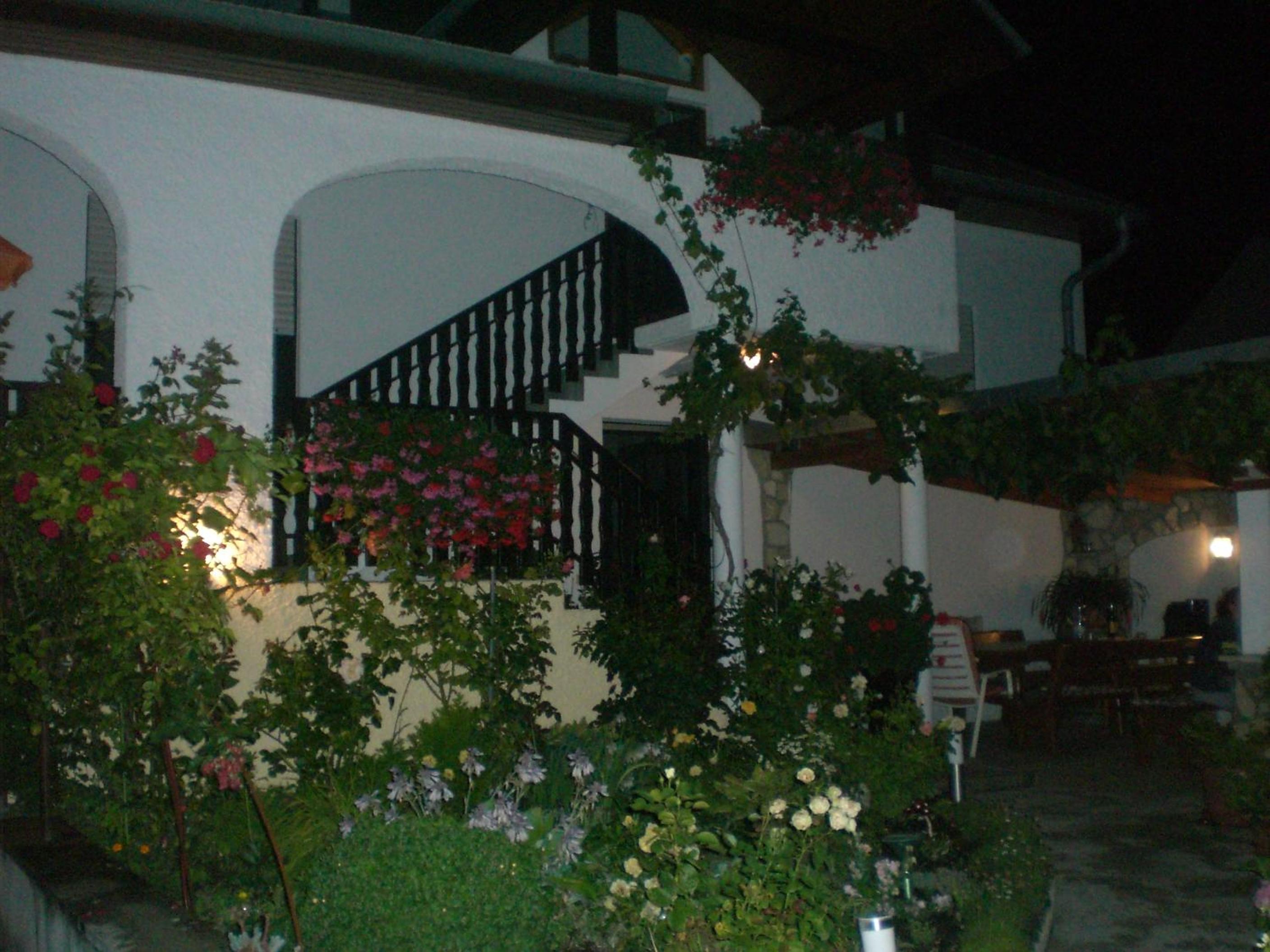 Photo 51