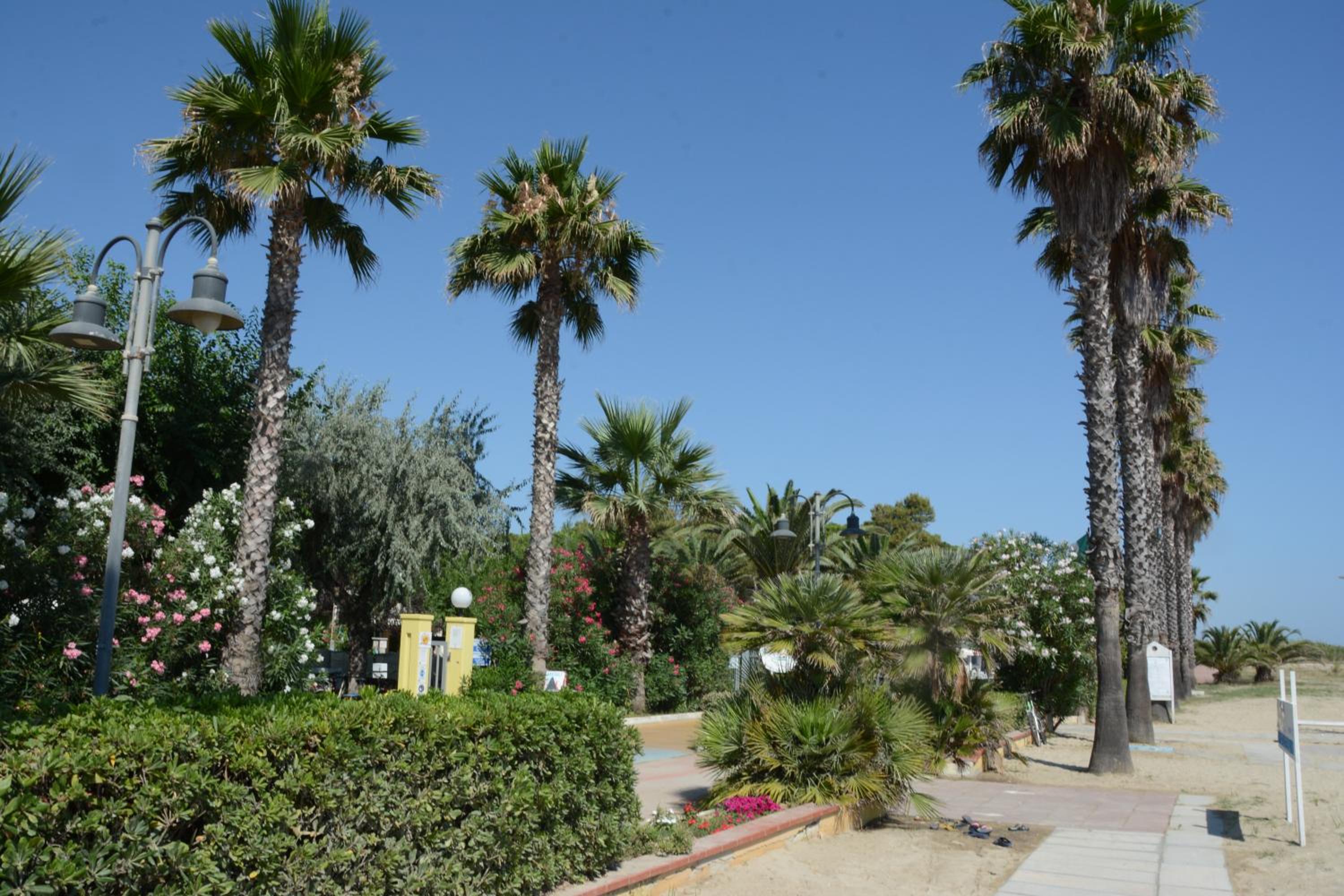 Camping Village Adriatico Giulianova, photo 4