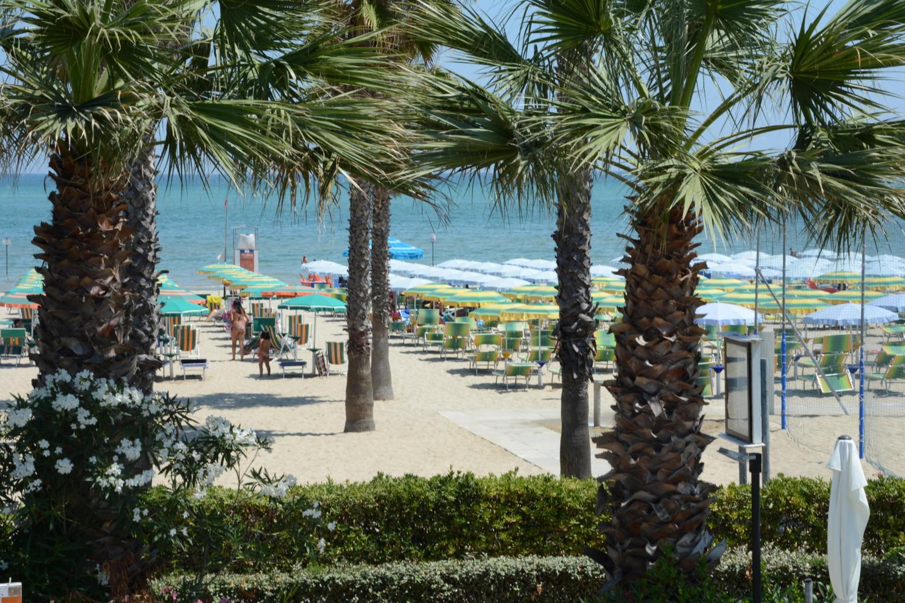 Camping Village Adriatico Giulianova, photo 18