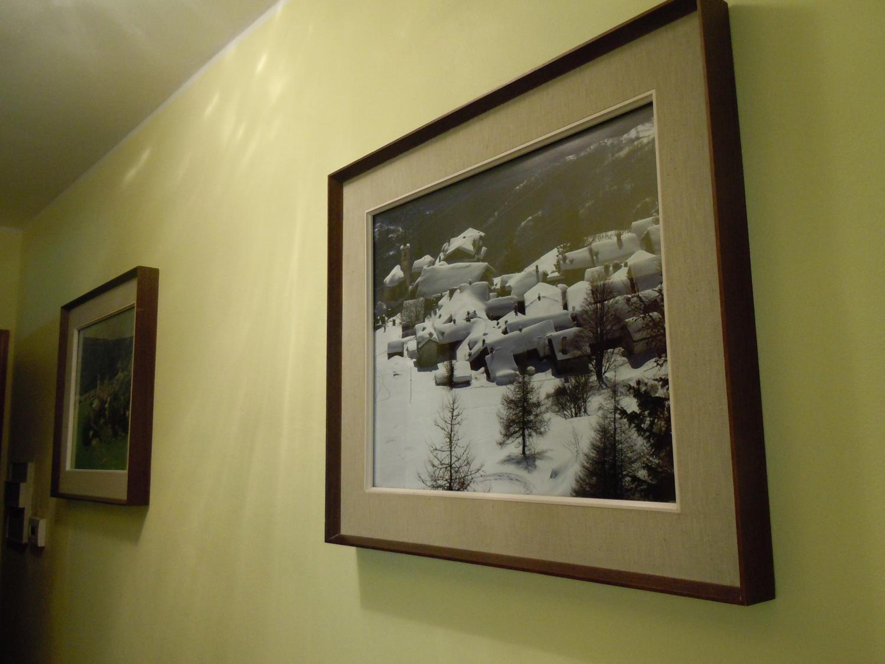 Photo 50