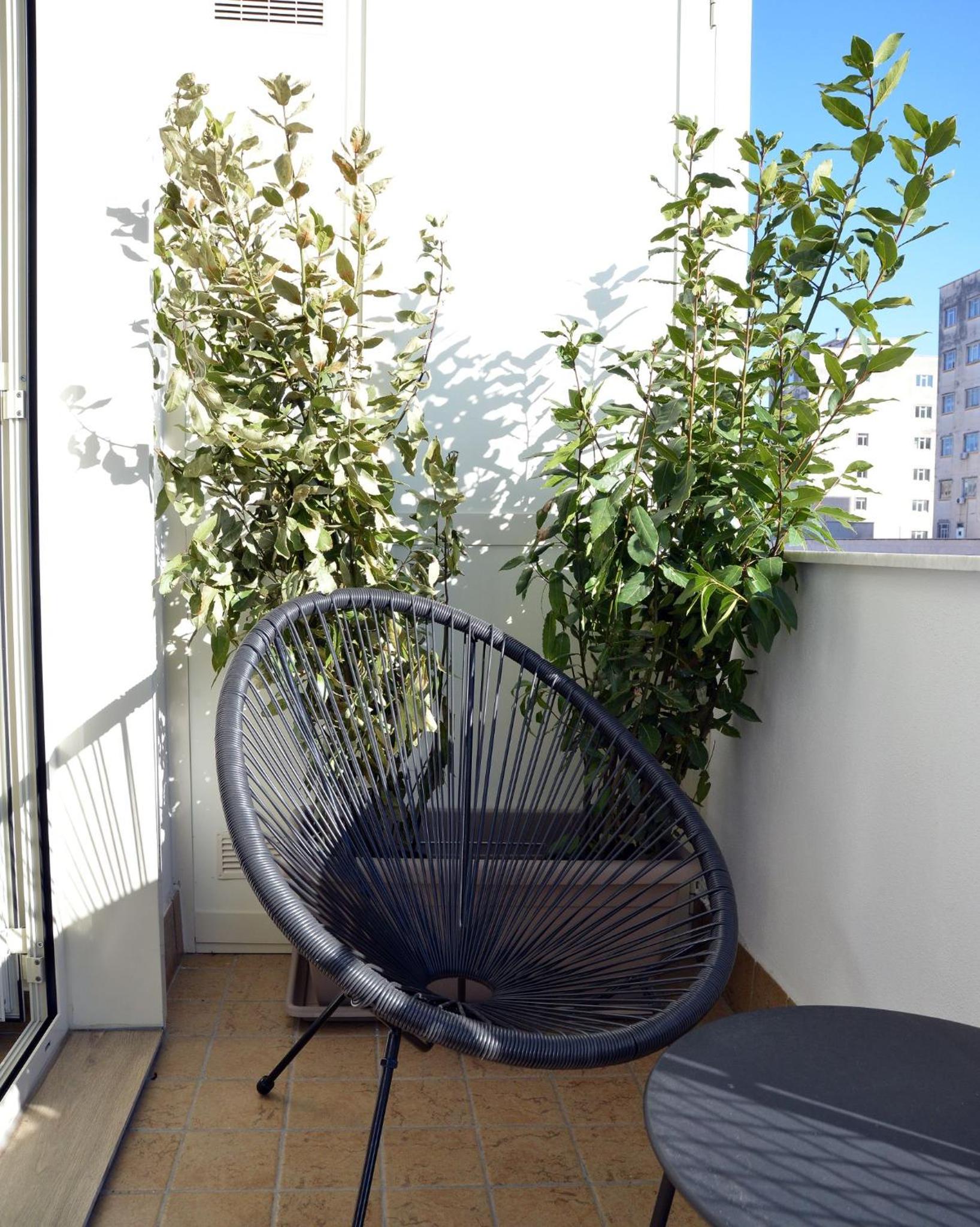 Urban jungle rooms