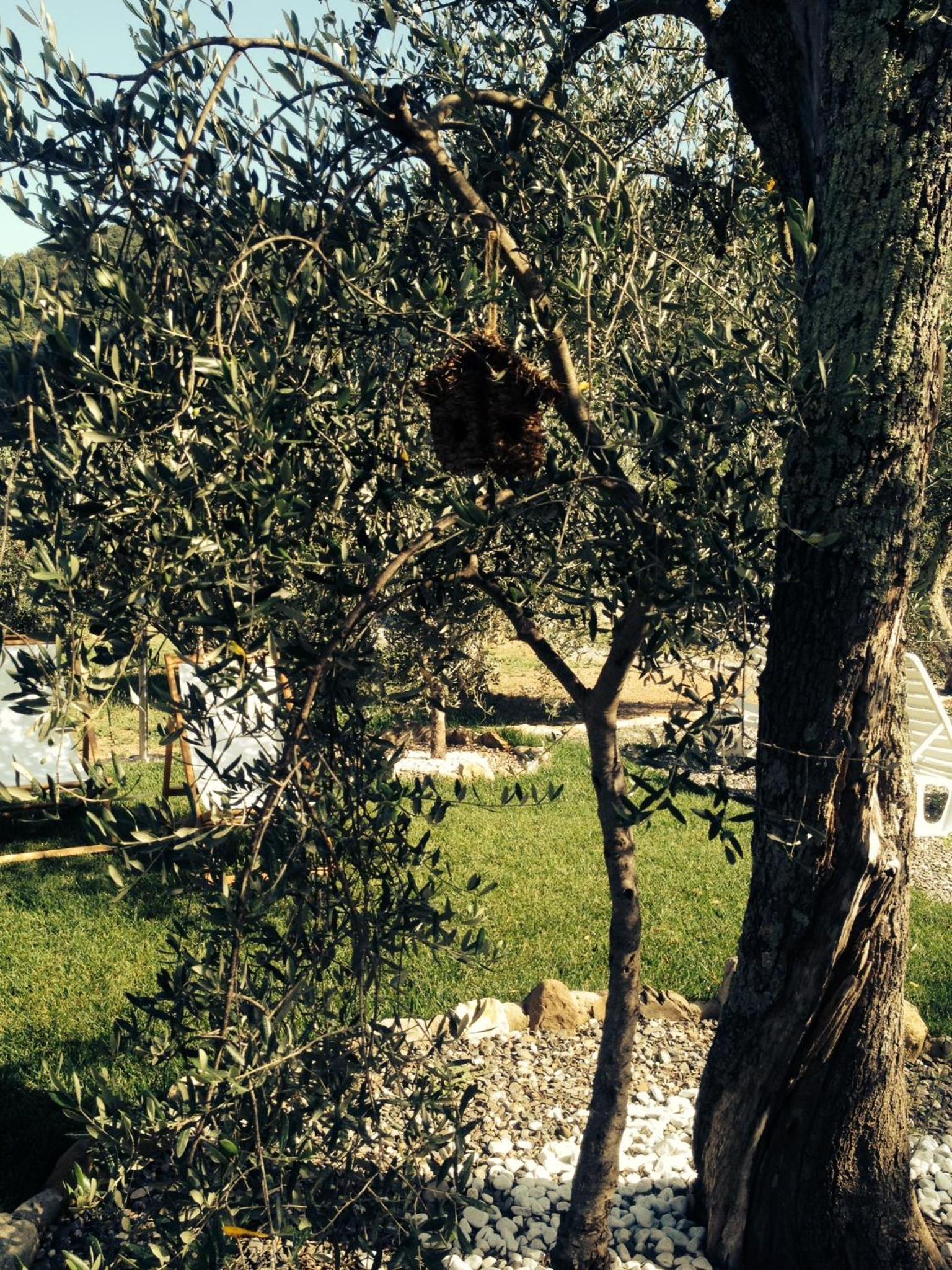 Photo 31