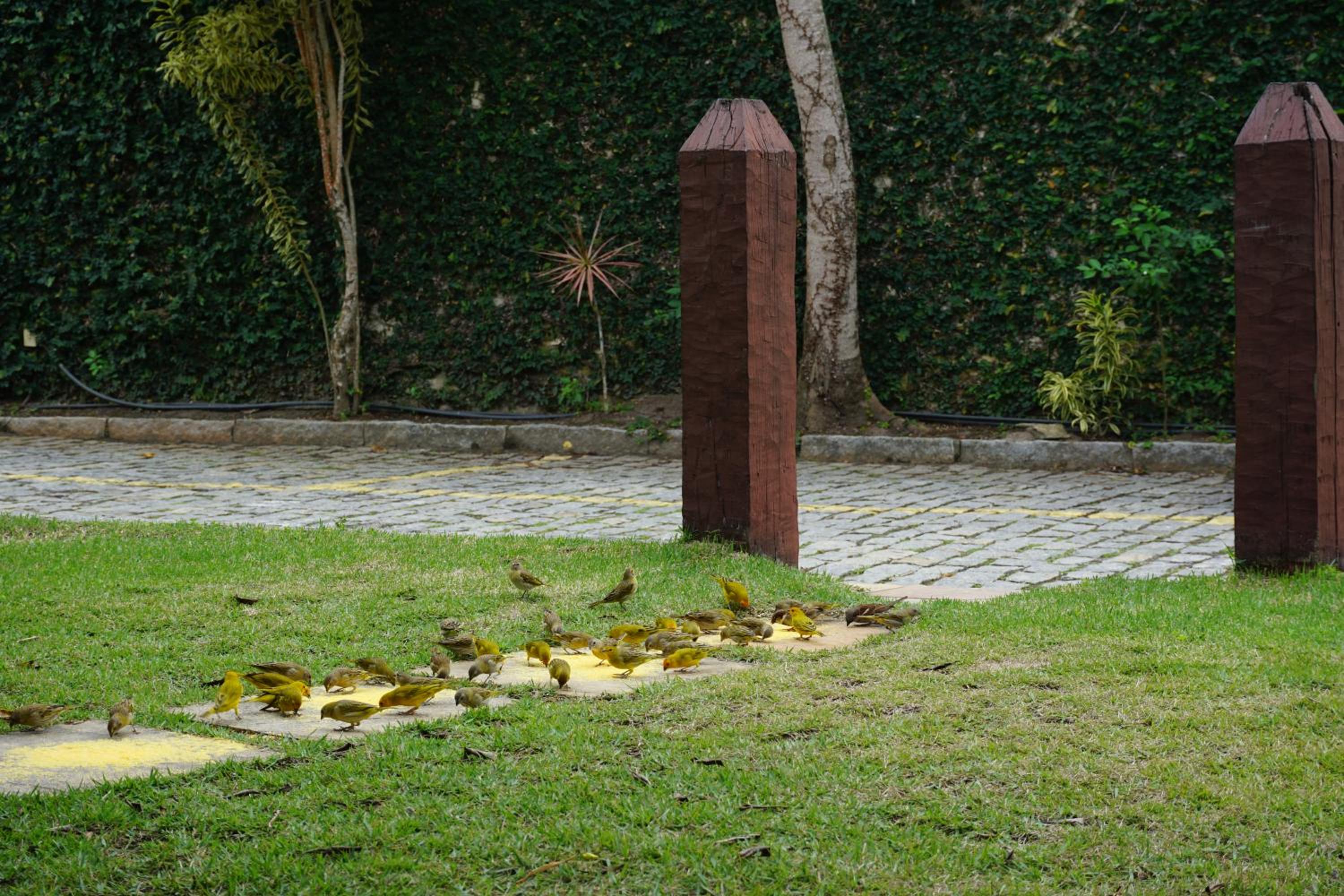 Bela casa de 4 suítes em Geribá