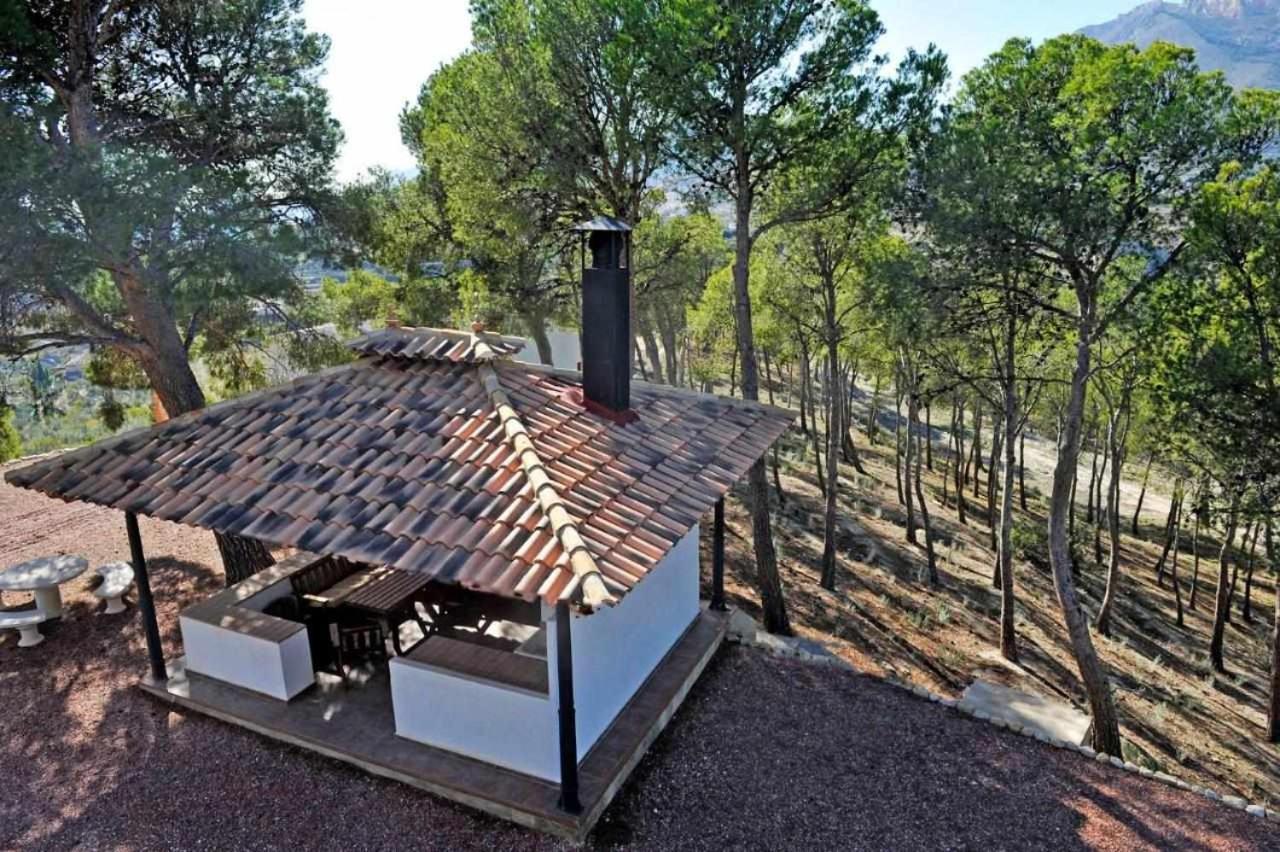 Finca Bonaire Alicante view 4