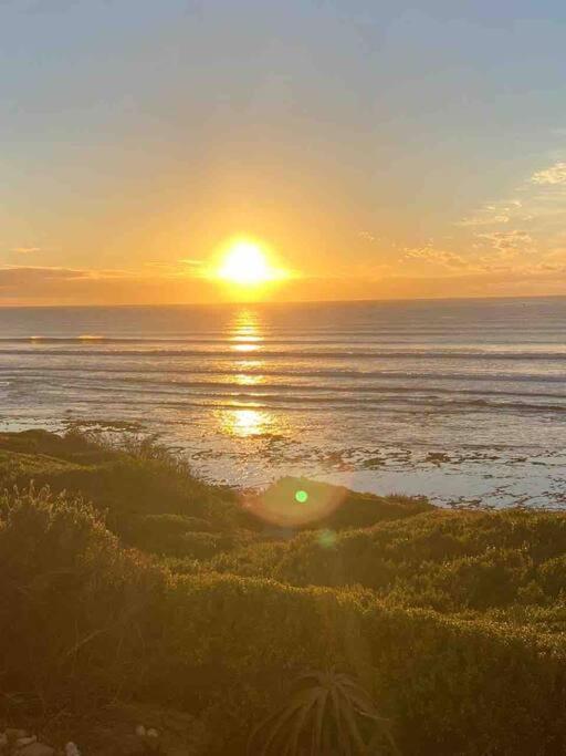 Baby Whale Bliss - Beachfront House view 3