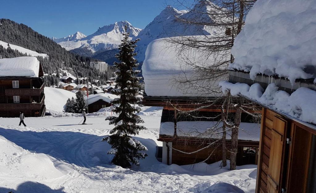 Chalet Höckli Wohnung 2.