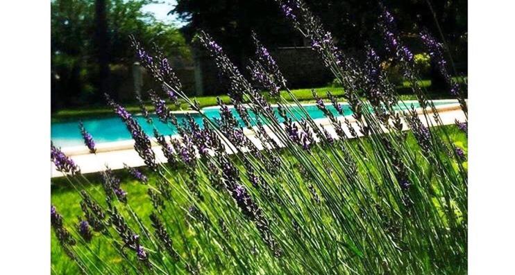 Maison Antonia view 5