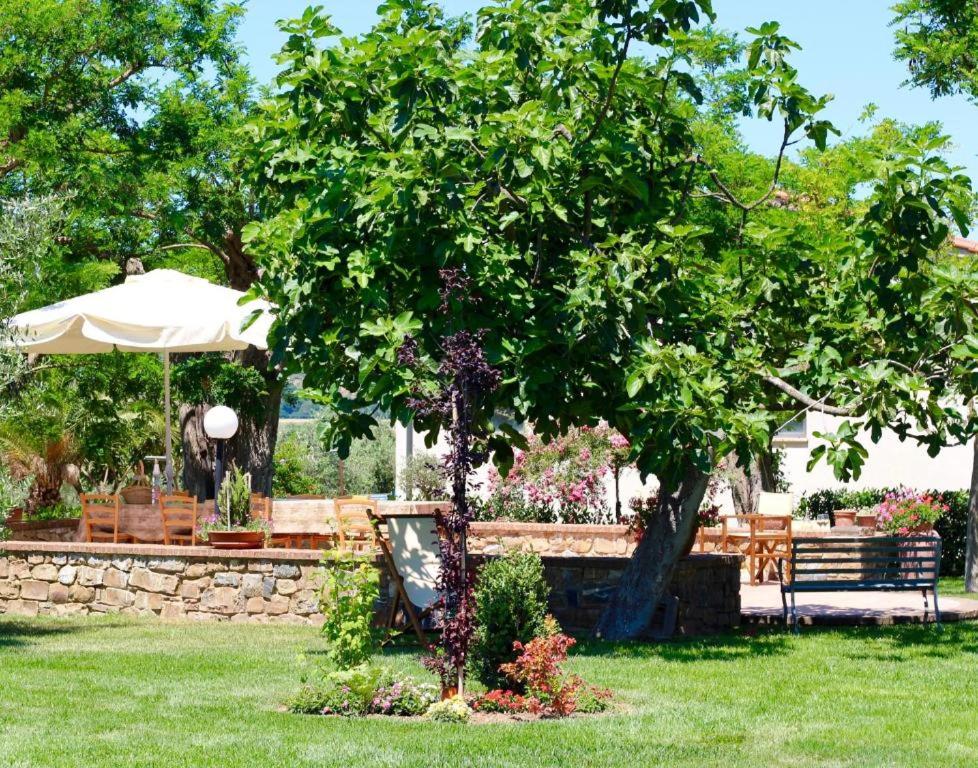 Agriturismo Vecchio Imposto photo 4