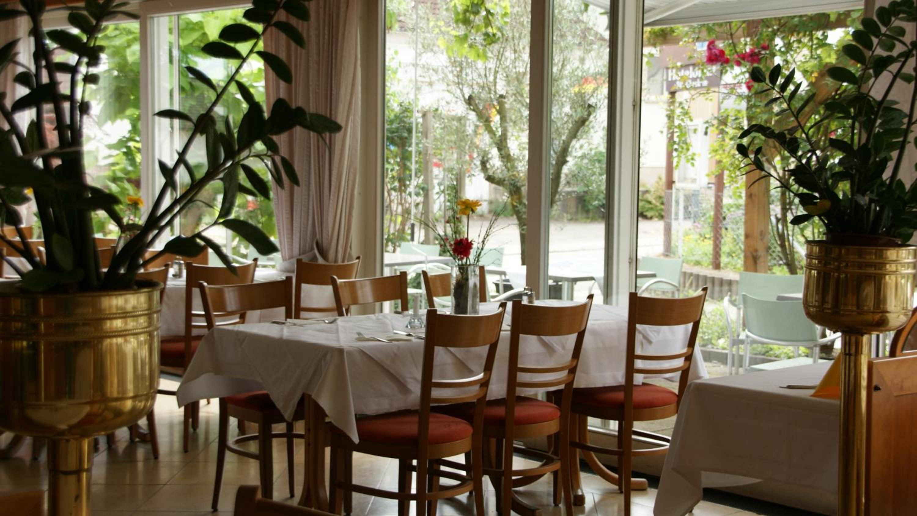 Hotel Engel - Property Image 38