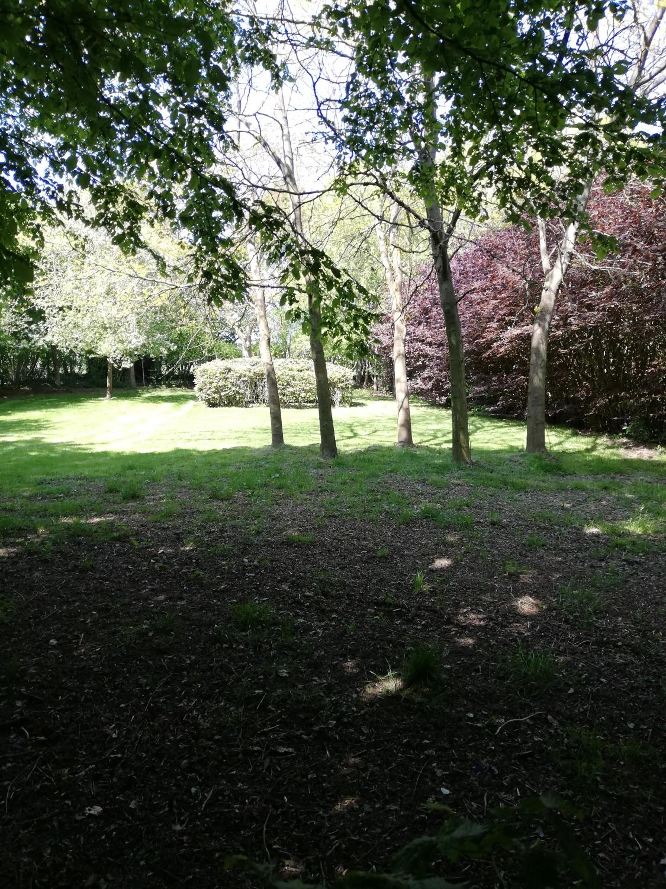 Photo 11