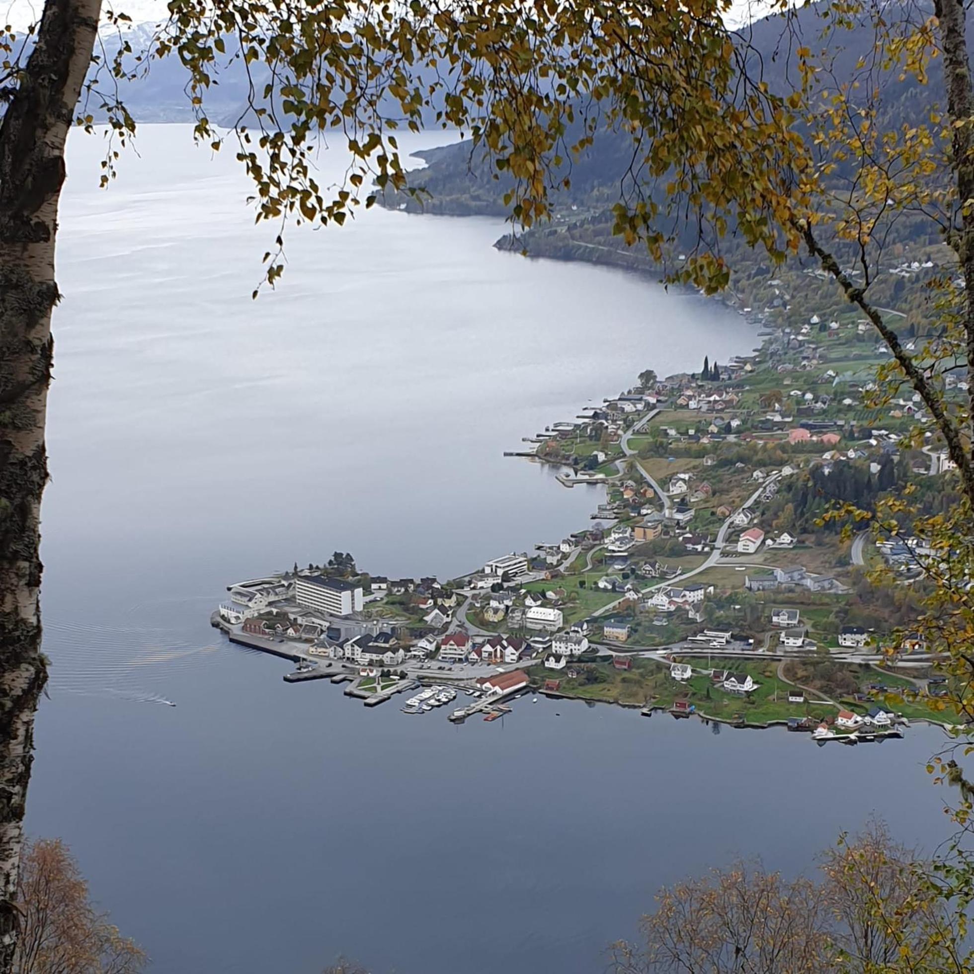 Photo 43