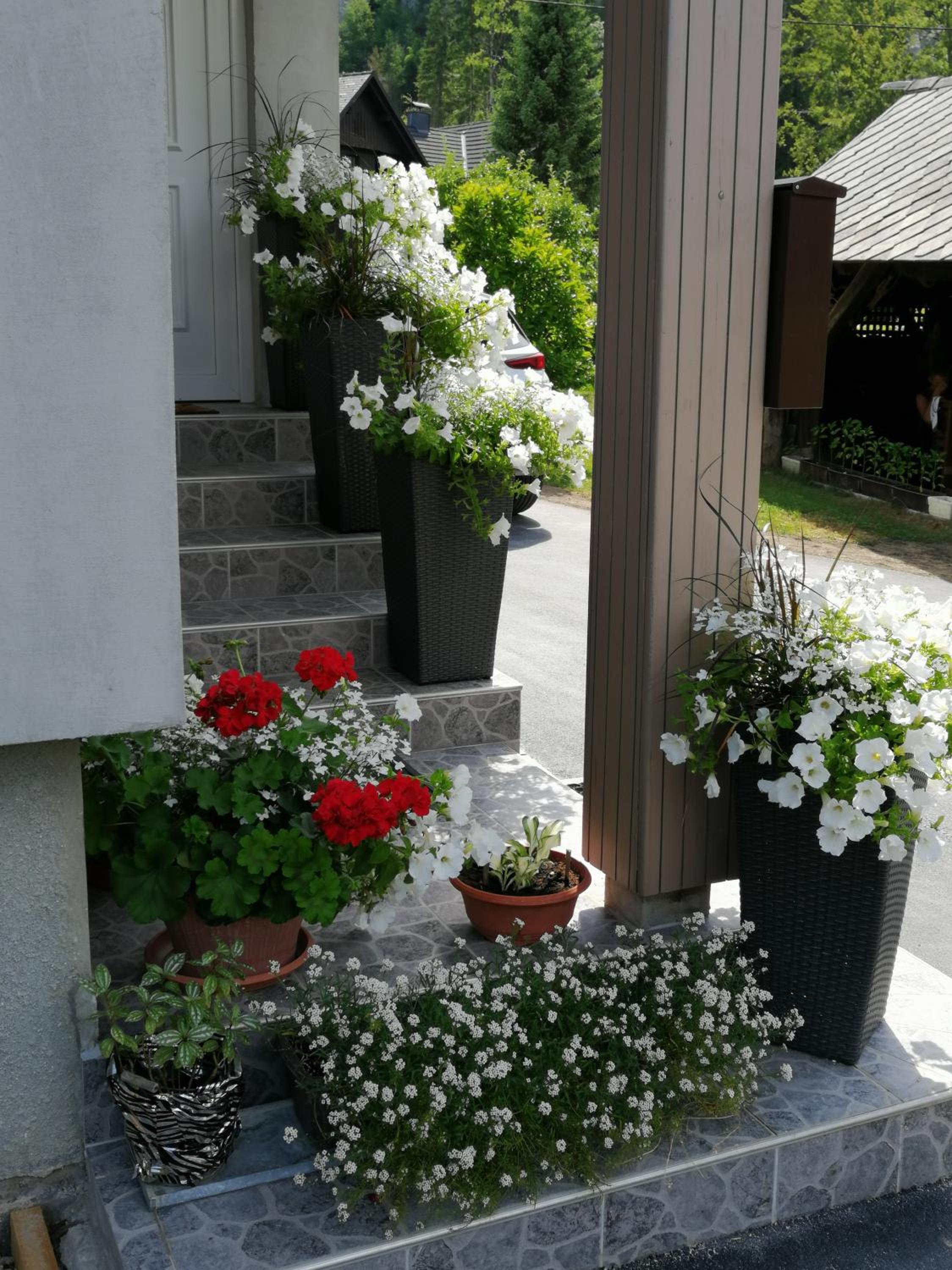 Apartma SIMONA view 2