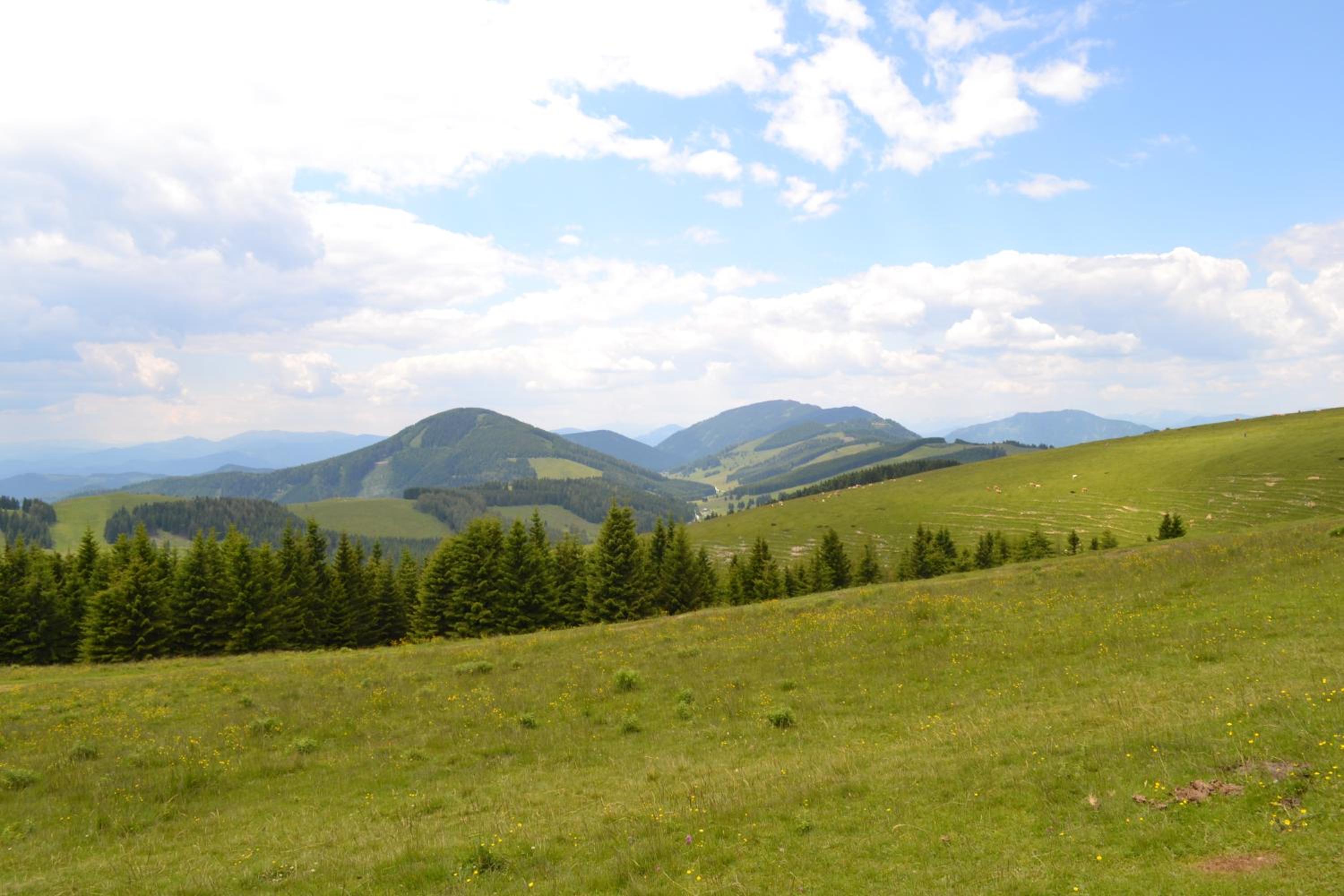 Pension Schweiger