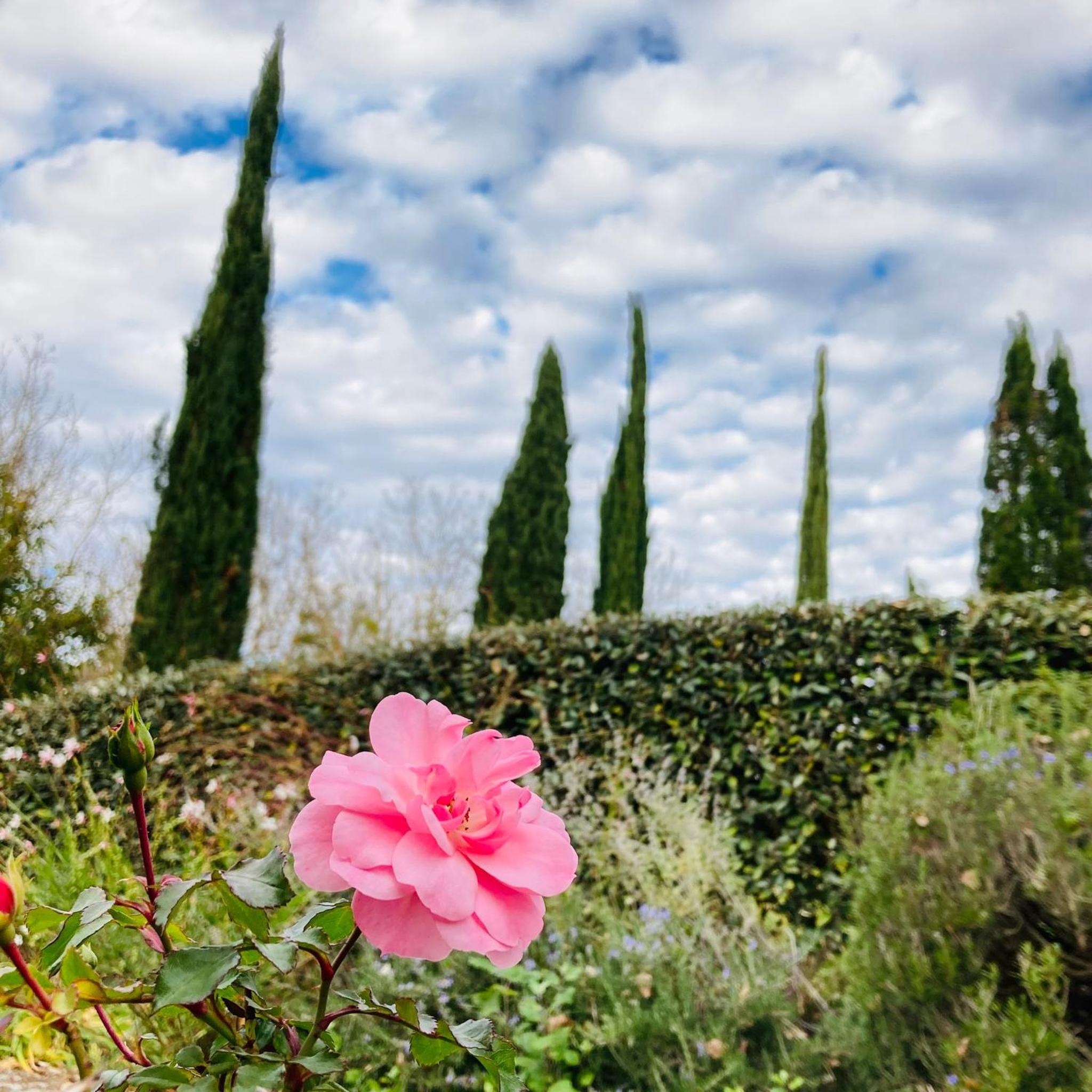 Podere La Chiusella B&B