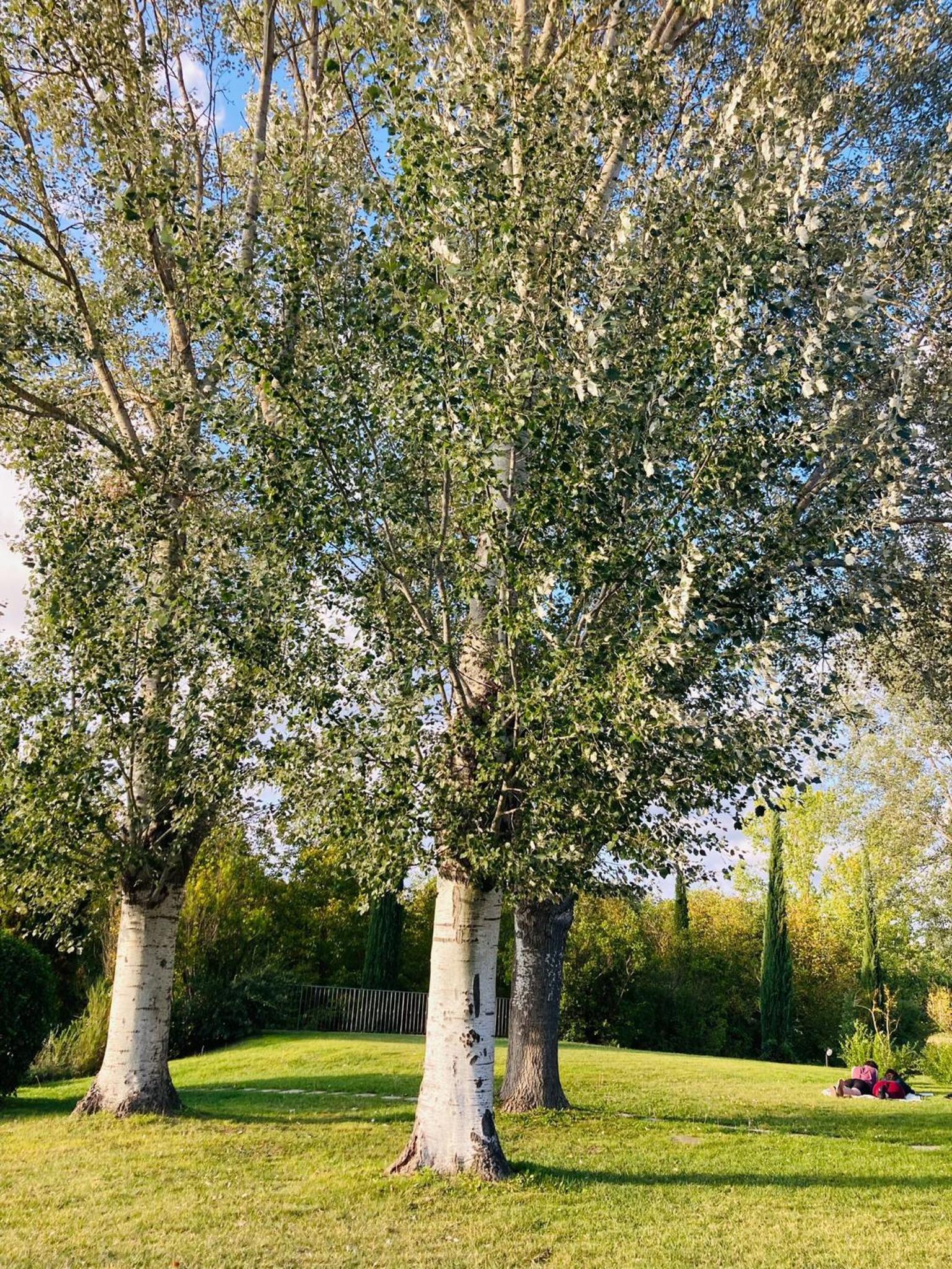 Podere La Chiusella B&B