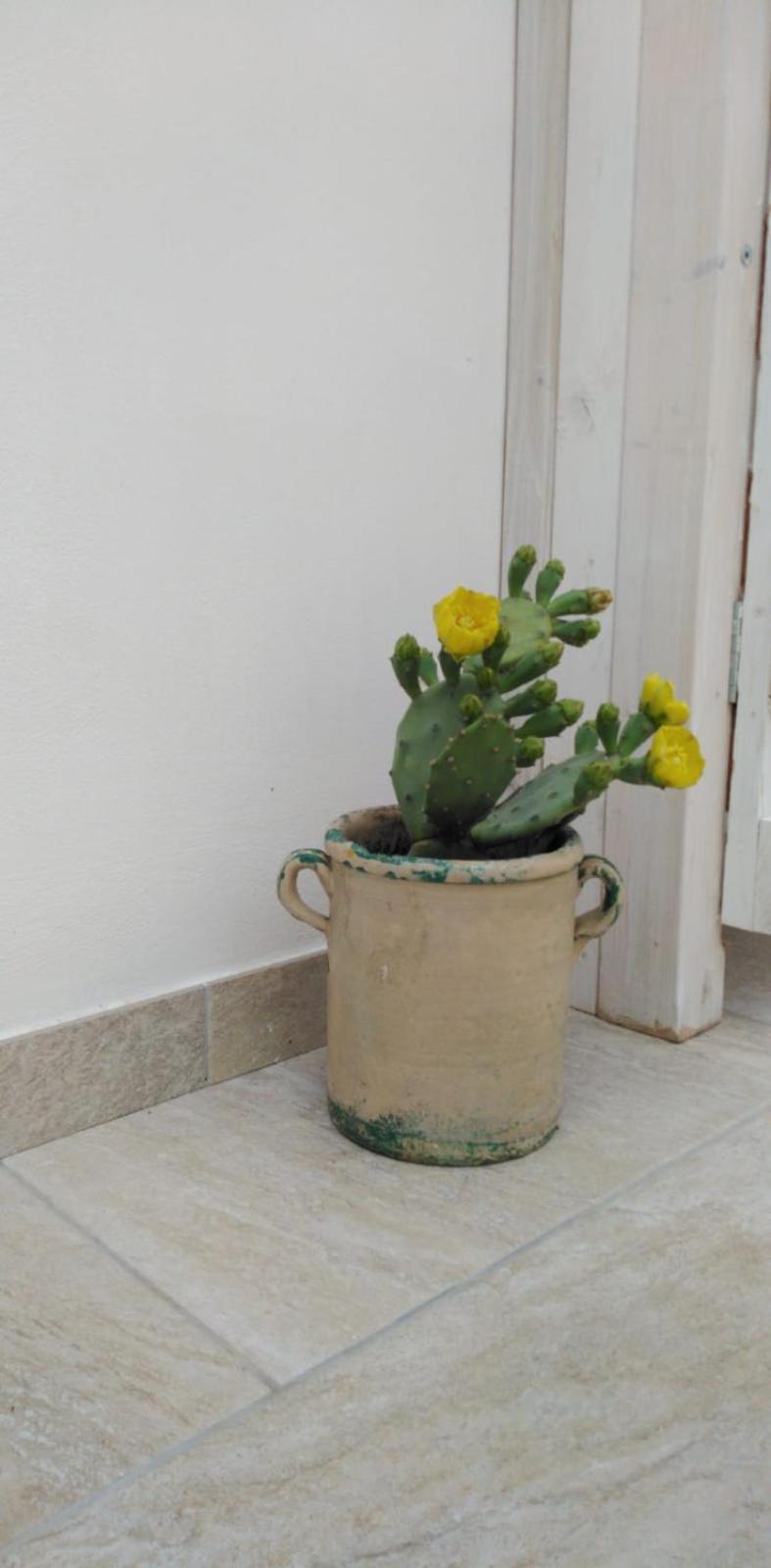 Photo 38