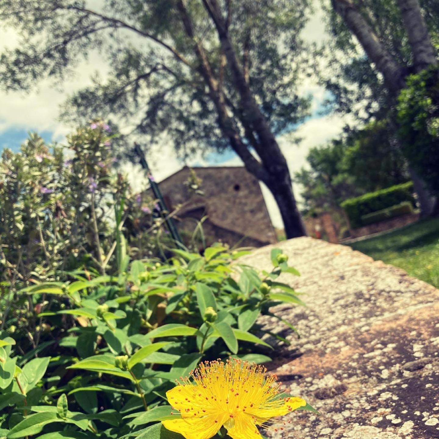 Podere La Chiusella B&B