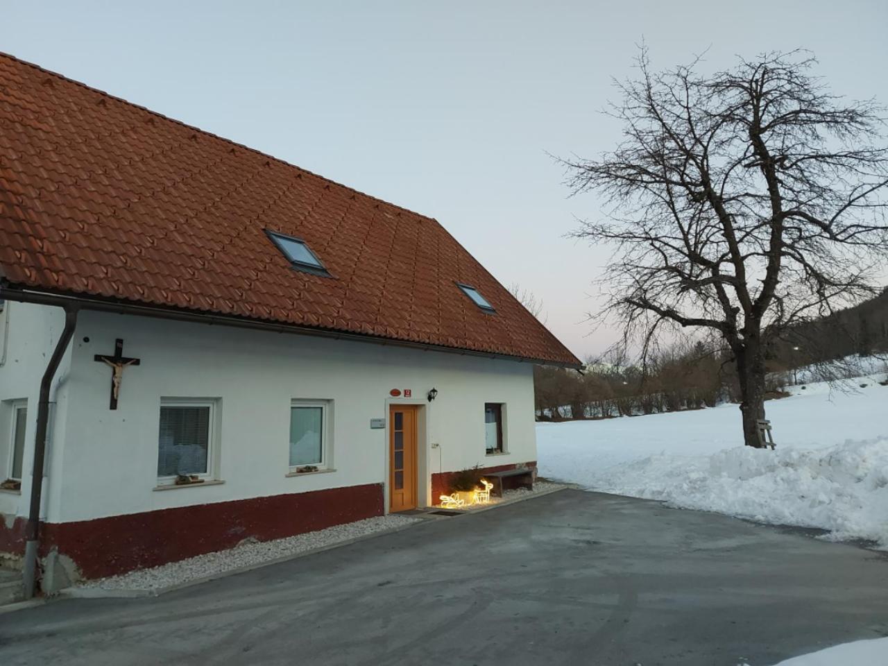 Photo 49