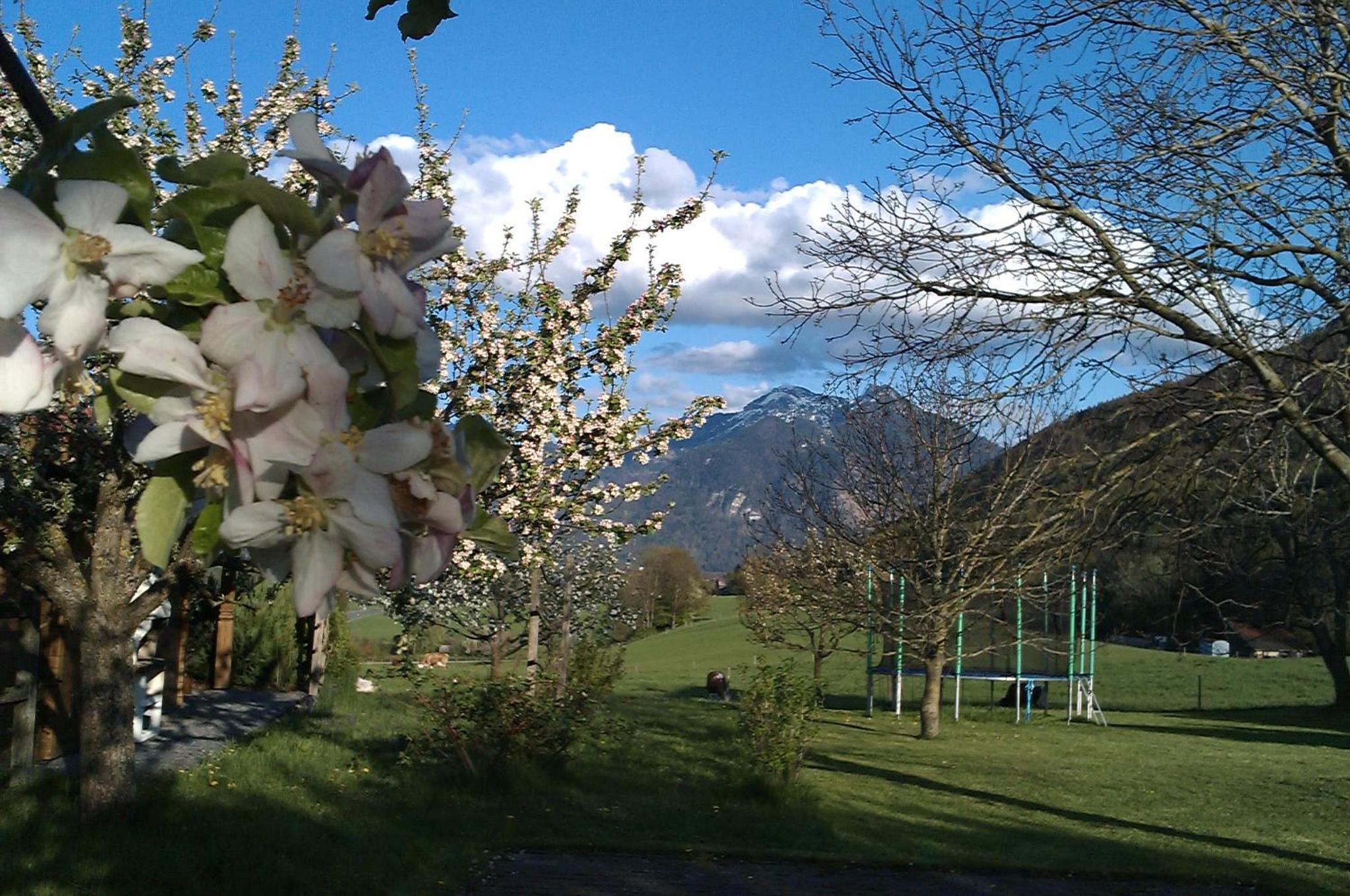 Hoderhof view 3