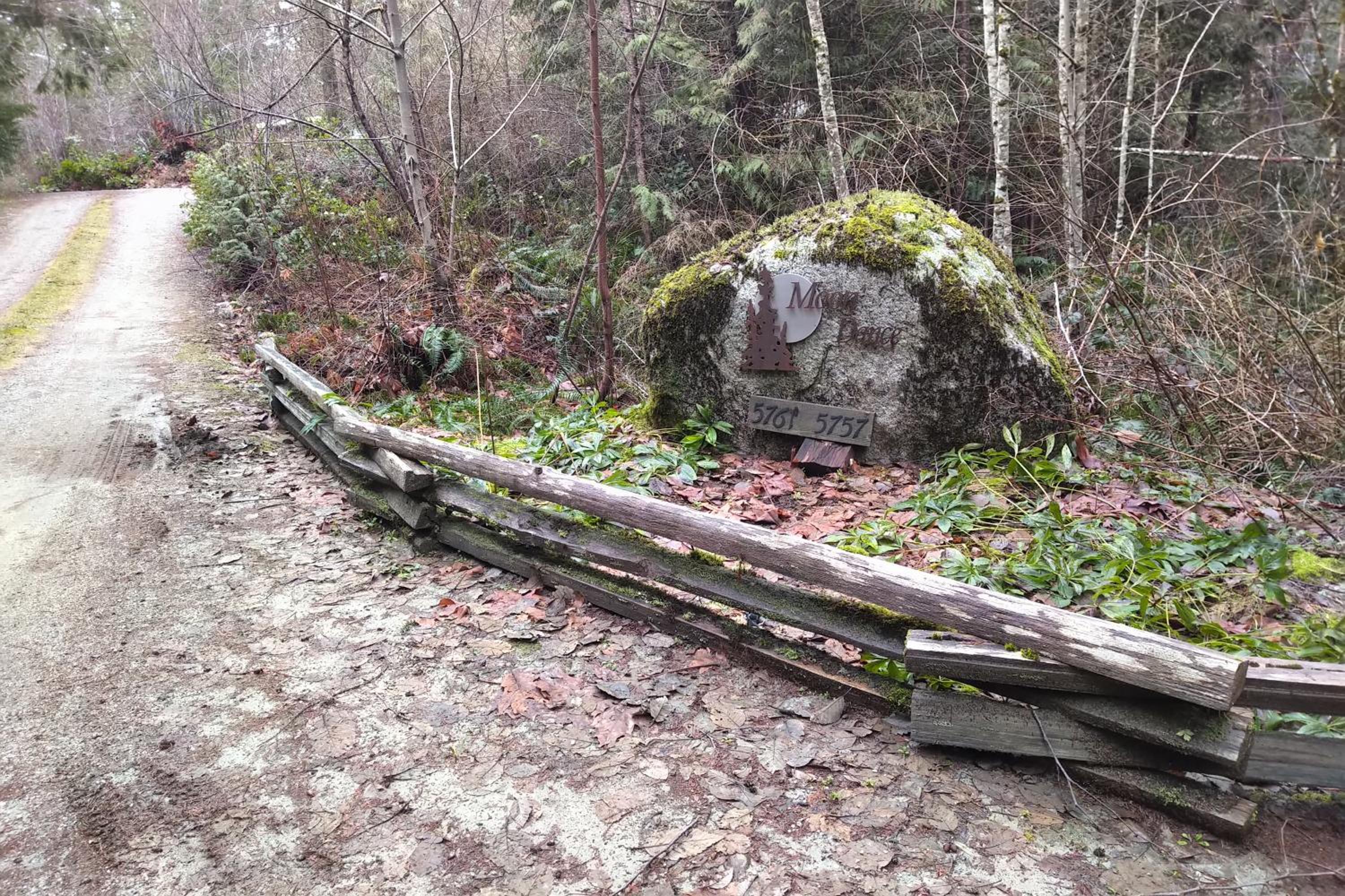 Photo 41