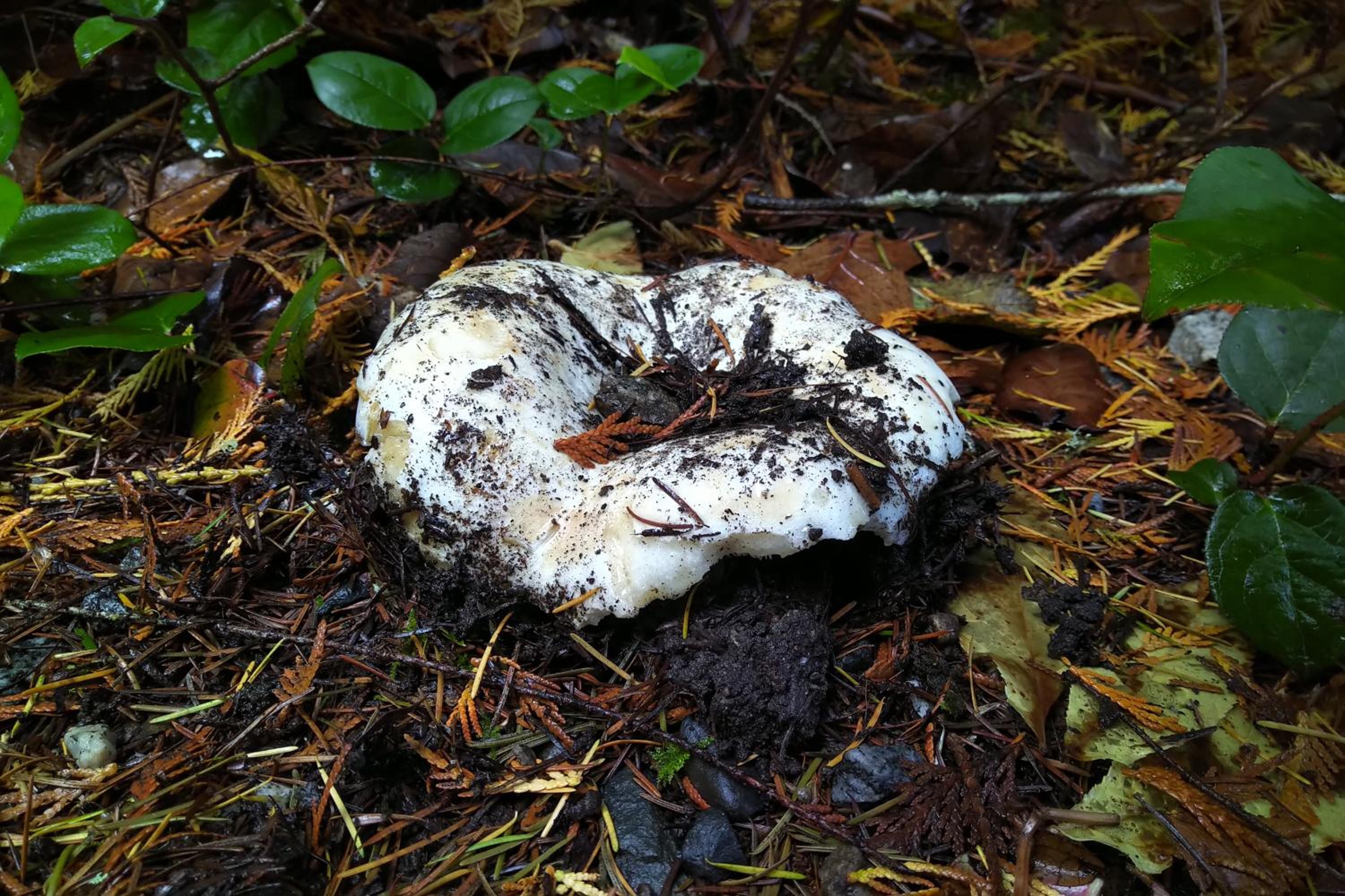 Photo 47